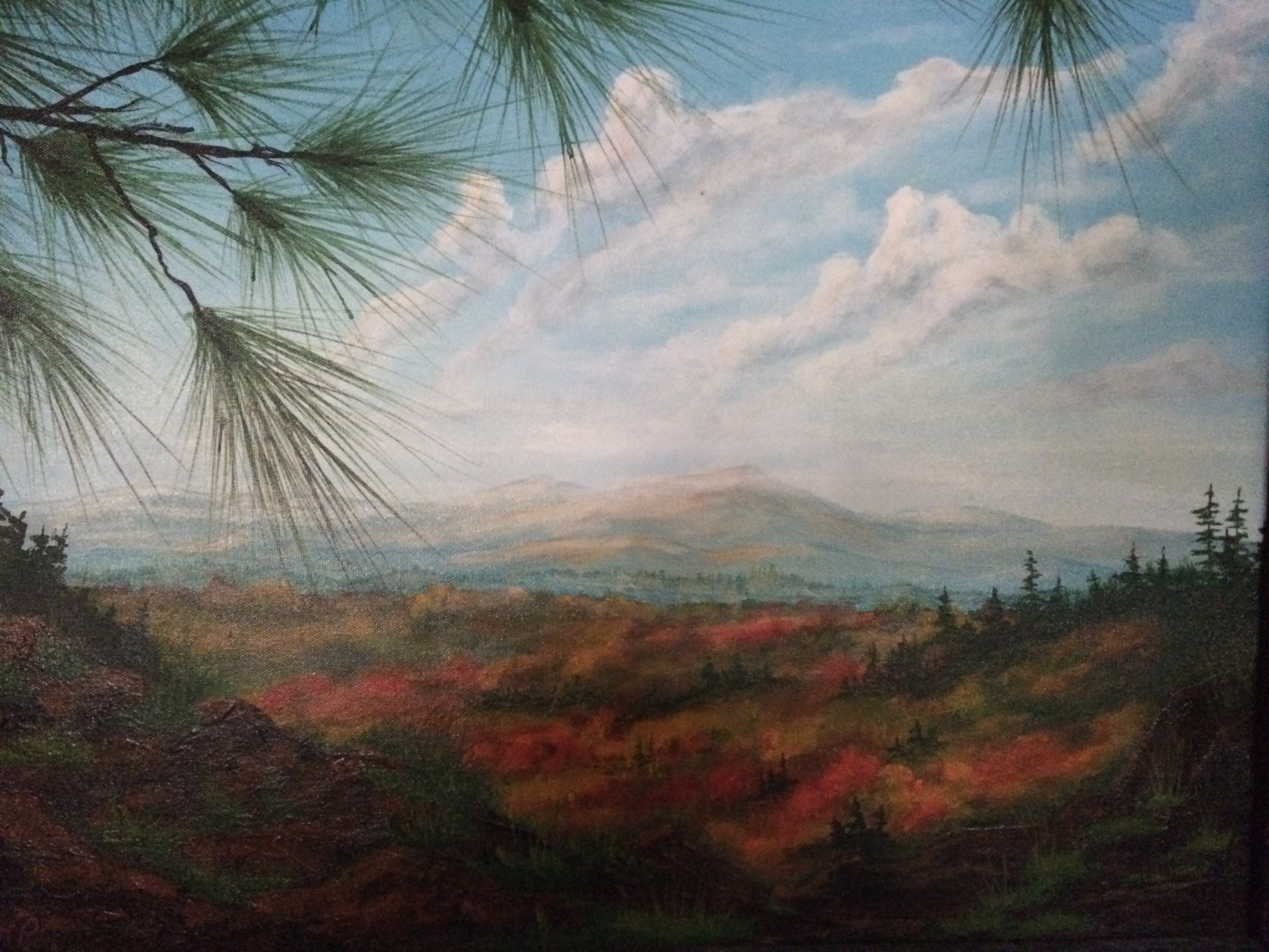 SHENANDOAH   OIL   18X24   $400