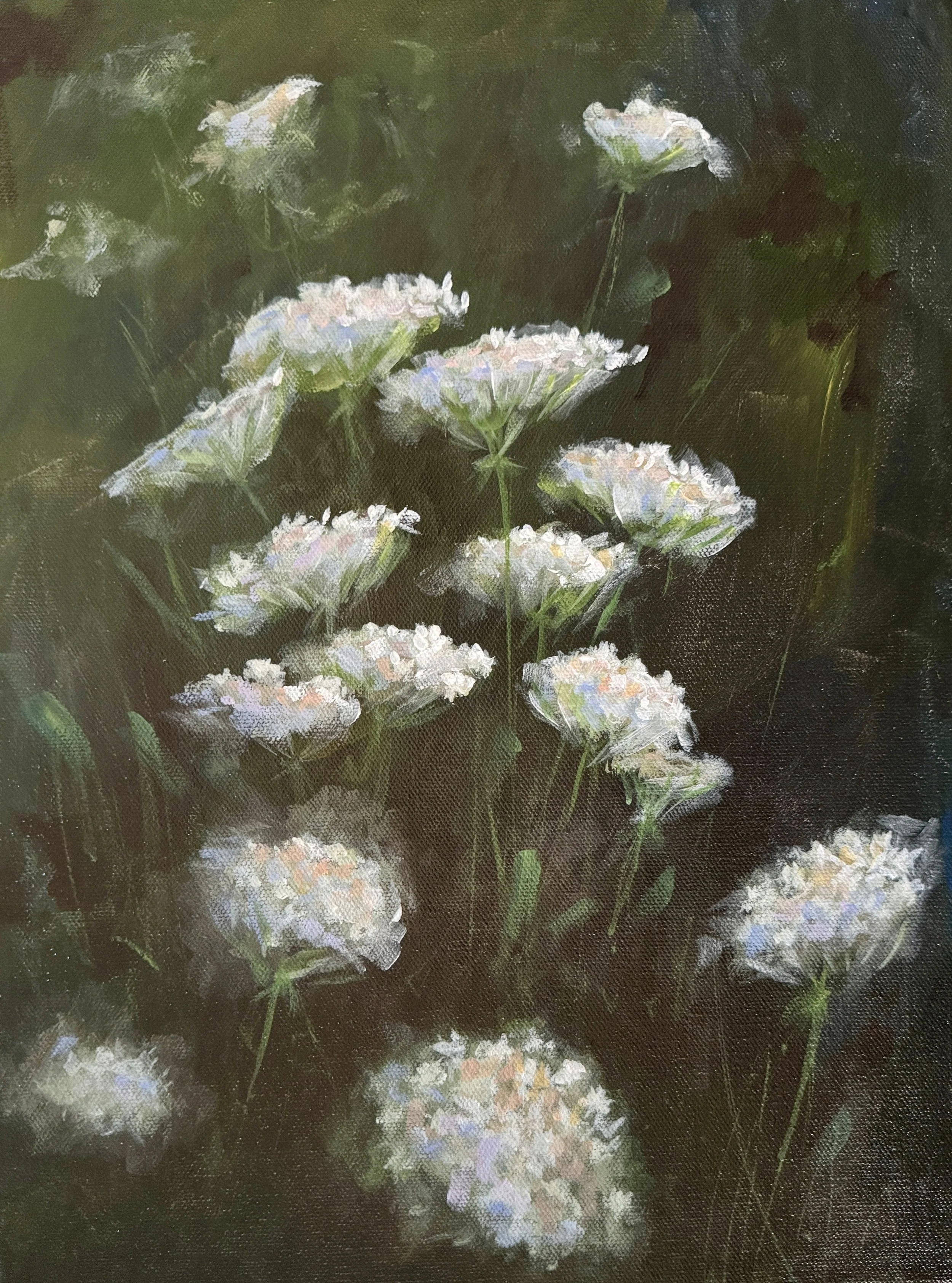 QUEEN ANNE’S LACE   ACRYLIC   11X14   $300