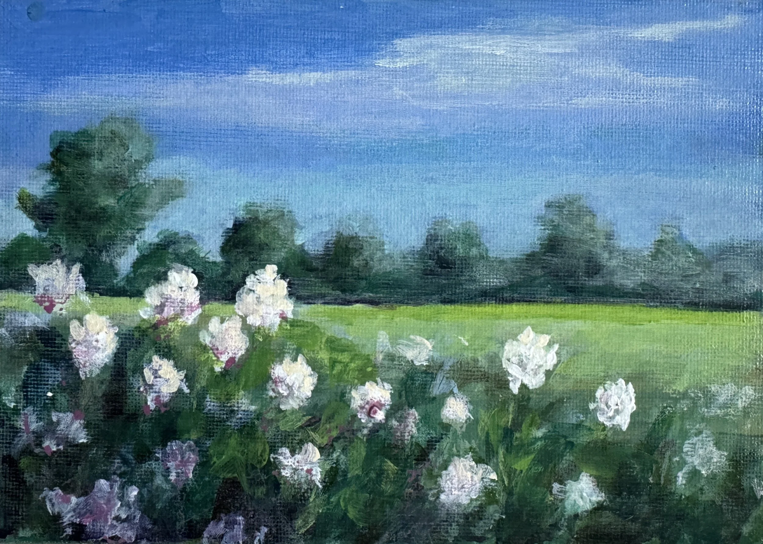 CLOVER   ACRYLIC   5X7   $95