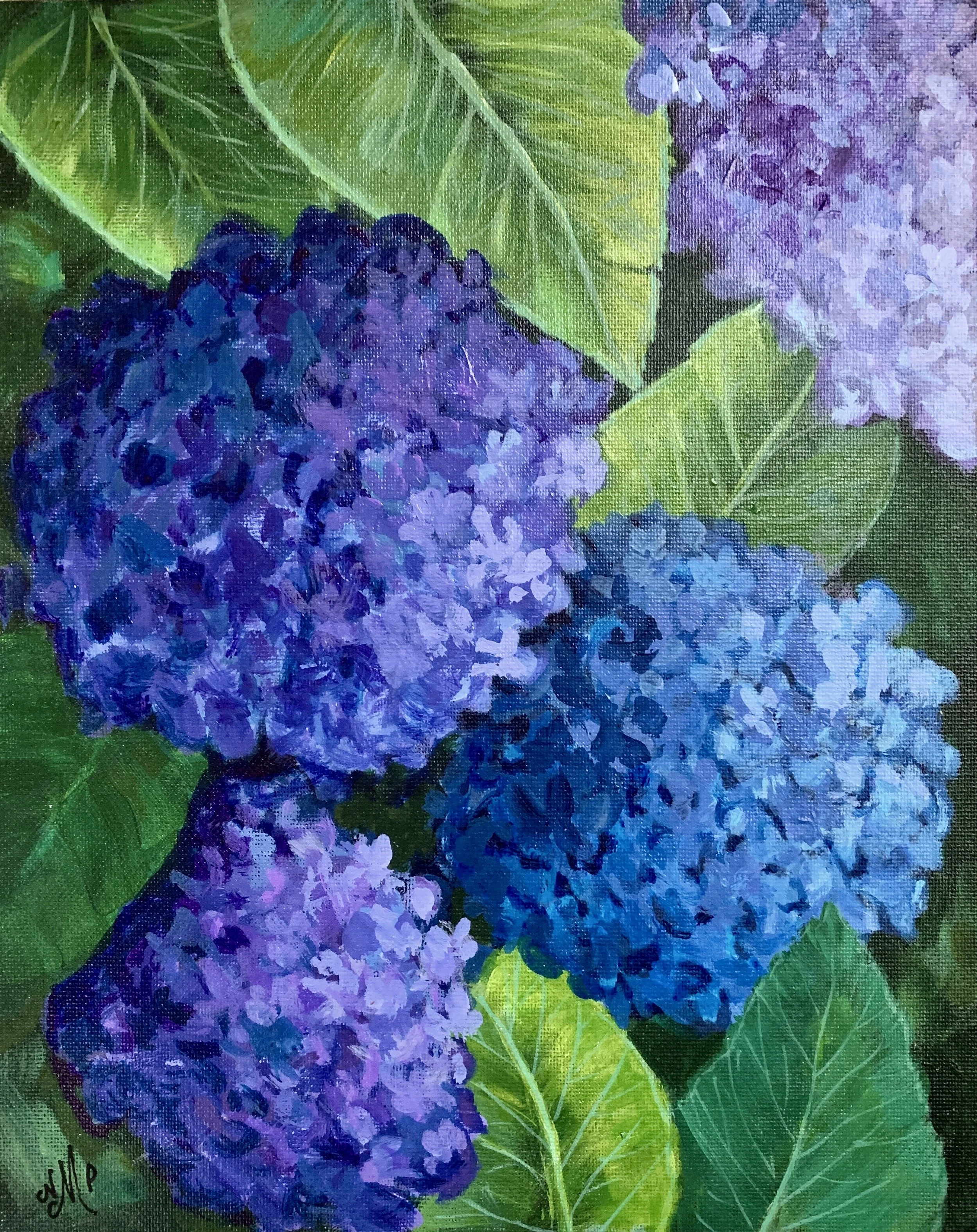 HYDRANGEA   ACRYLIC   8X10   $225