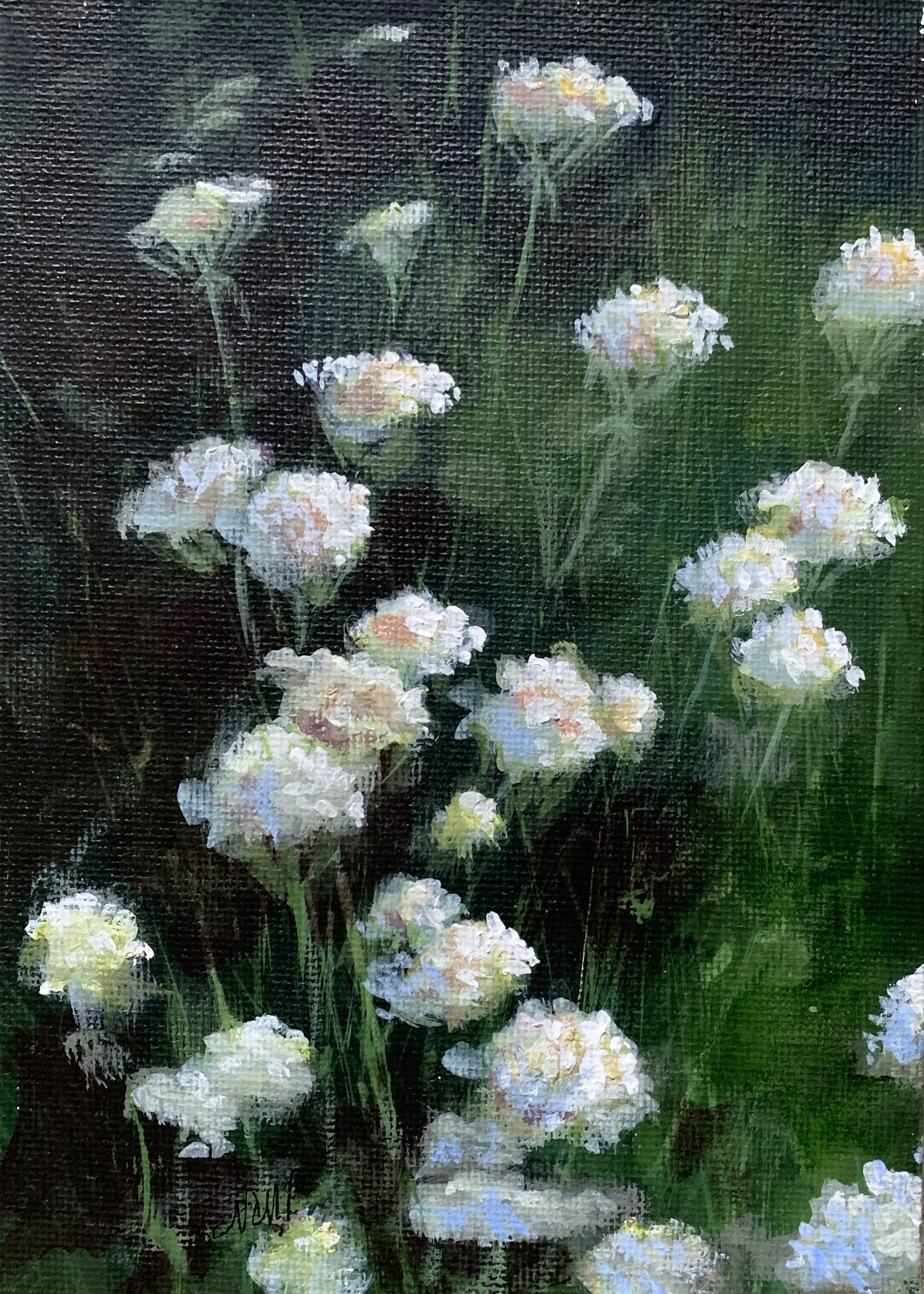 QUEEN ANNE’S LACE 3   ACRYLIC   5X7   $95