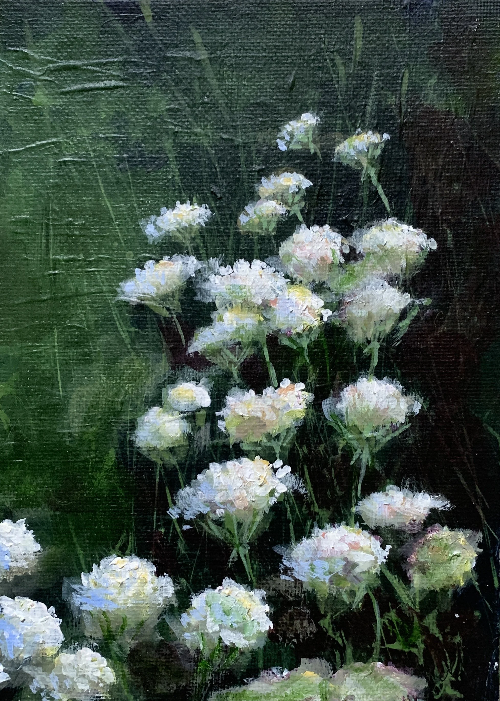 QUEEN ANNE’S LACE 2   ACRYLIC   5X7   $95