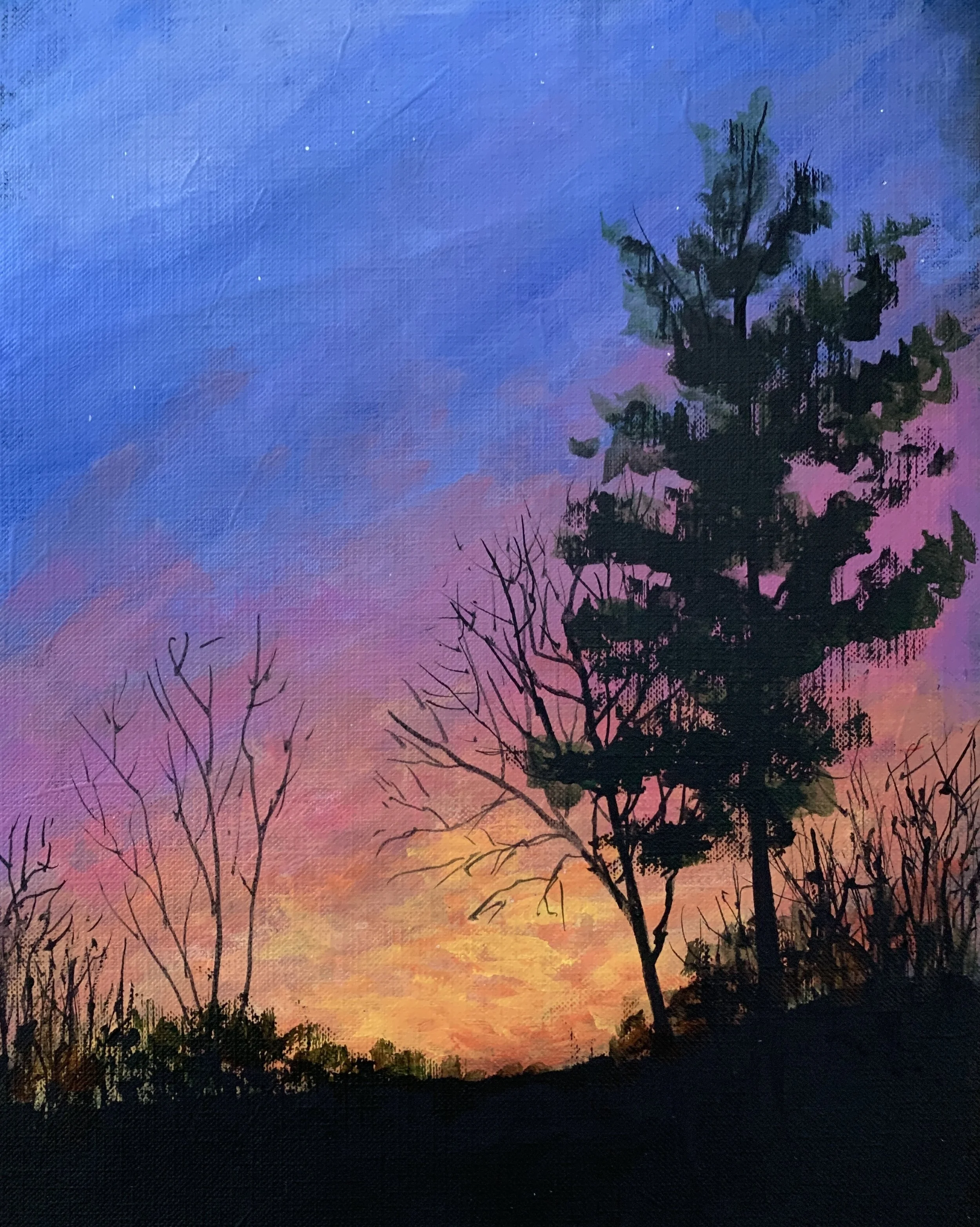 SUNSET - WINTER 2   ACRYLIC   8X10   $125