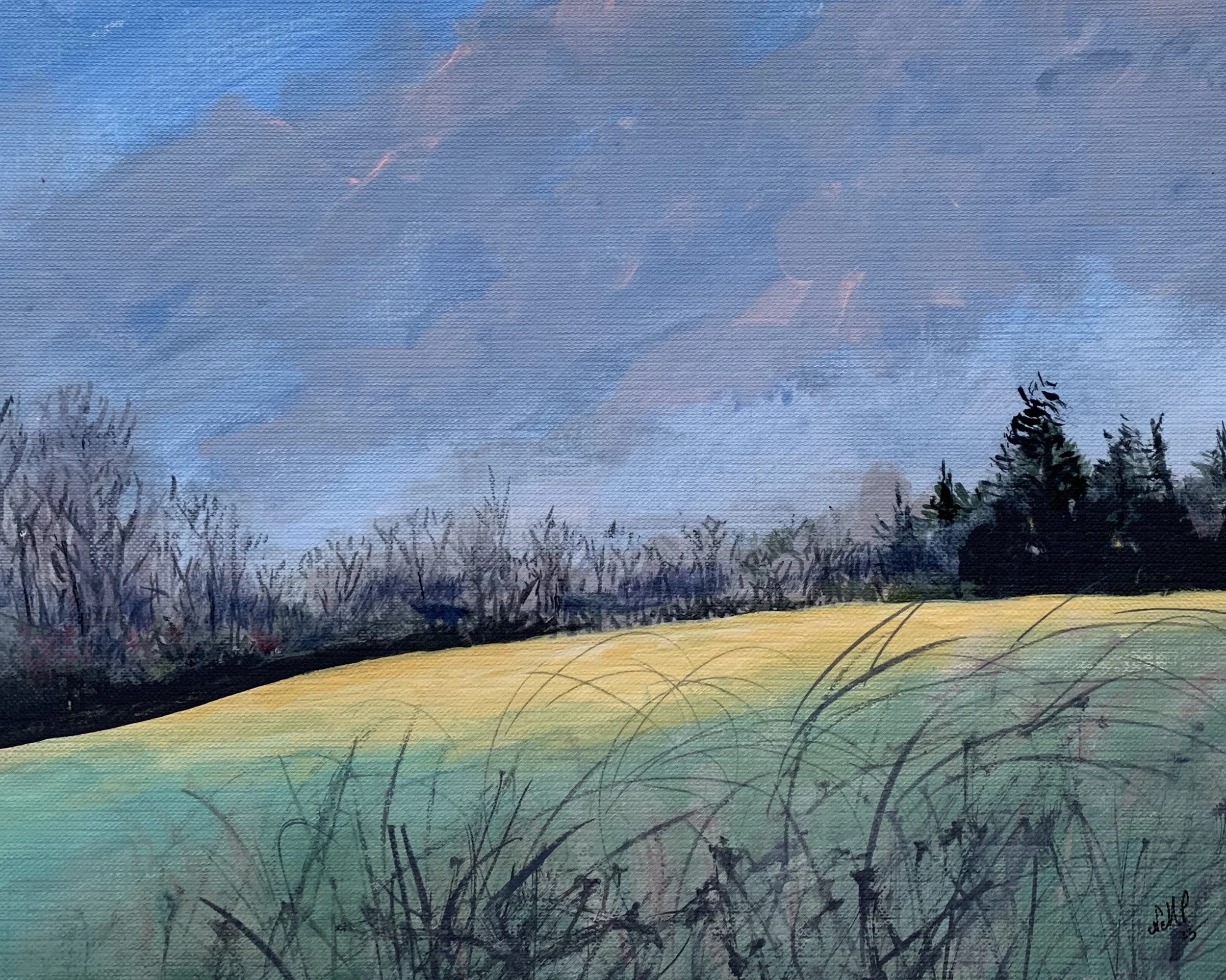 RING ROAD VIEW 3   ACRYLIC   8X10   $125