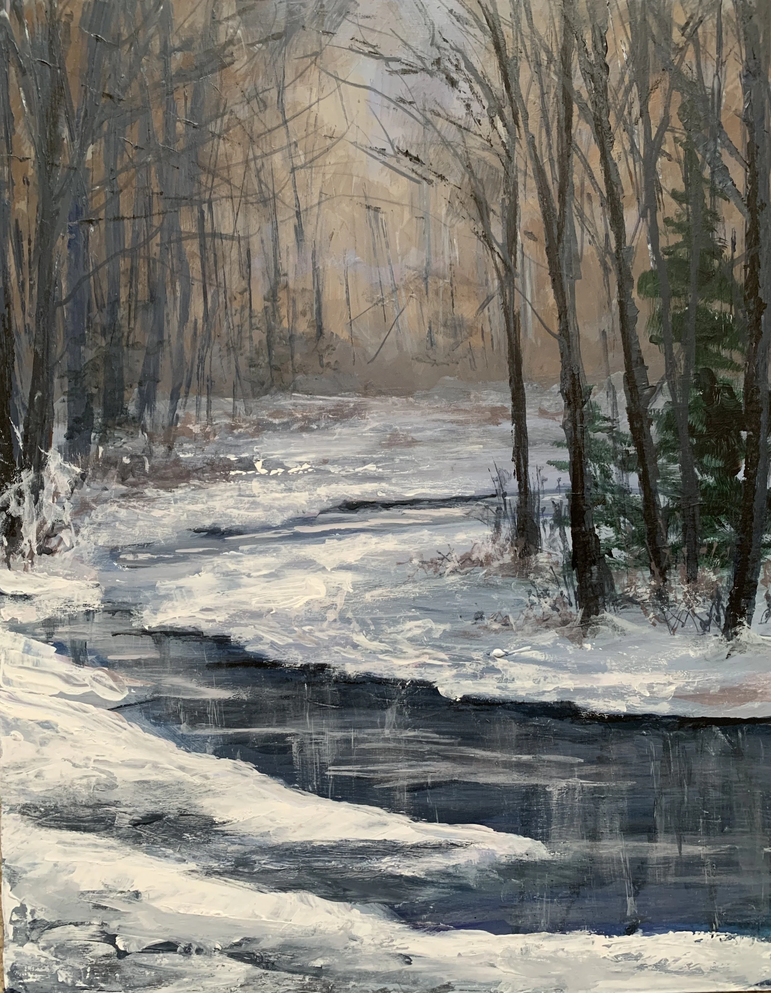 Accotink Creek Winter, 11x14, $175