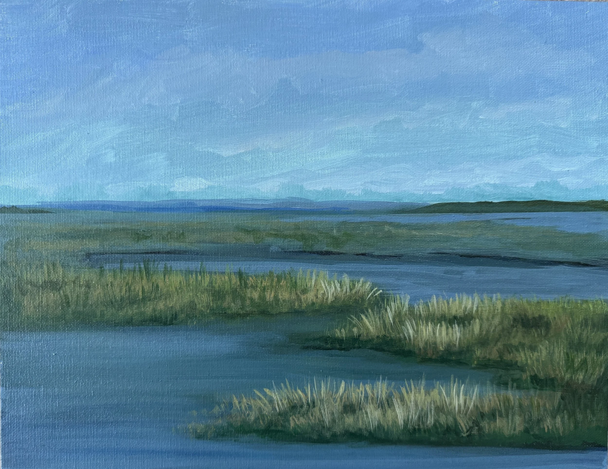 Huntley Meadows - Welands, 11x14, $200