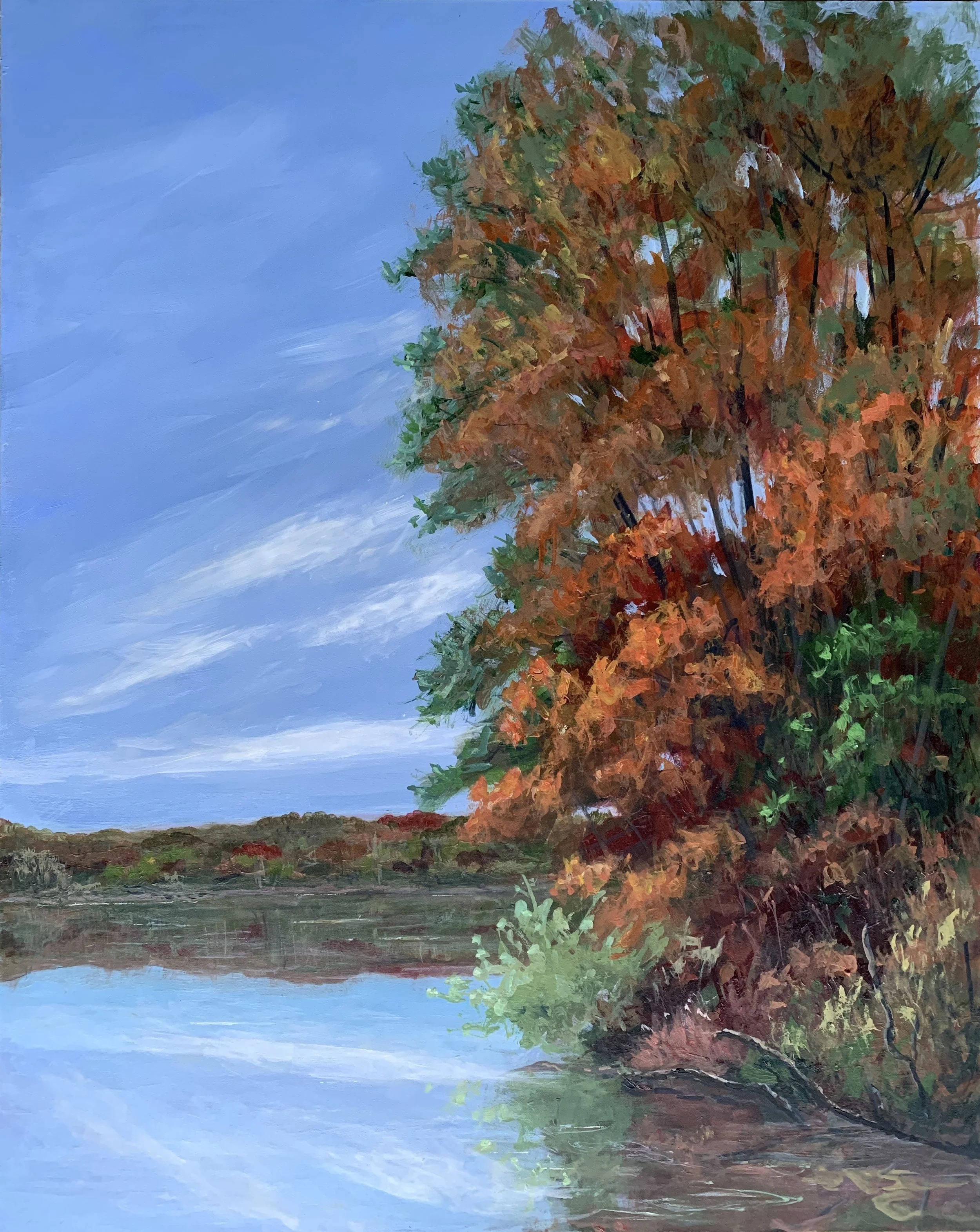 Lake Accotink in Autumn, 16x20, $225