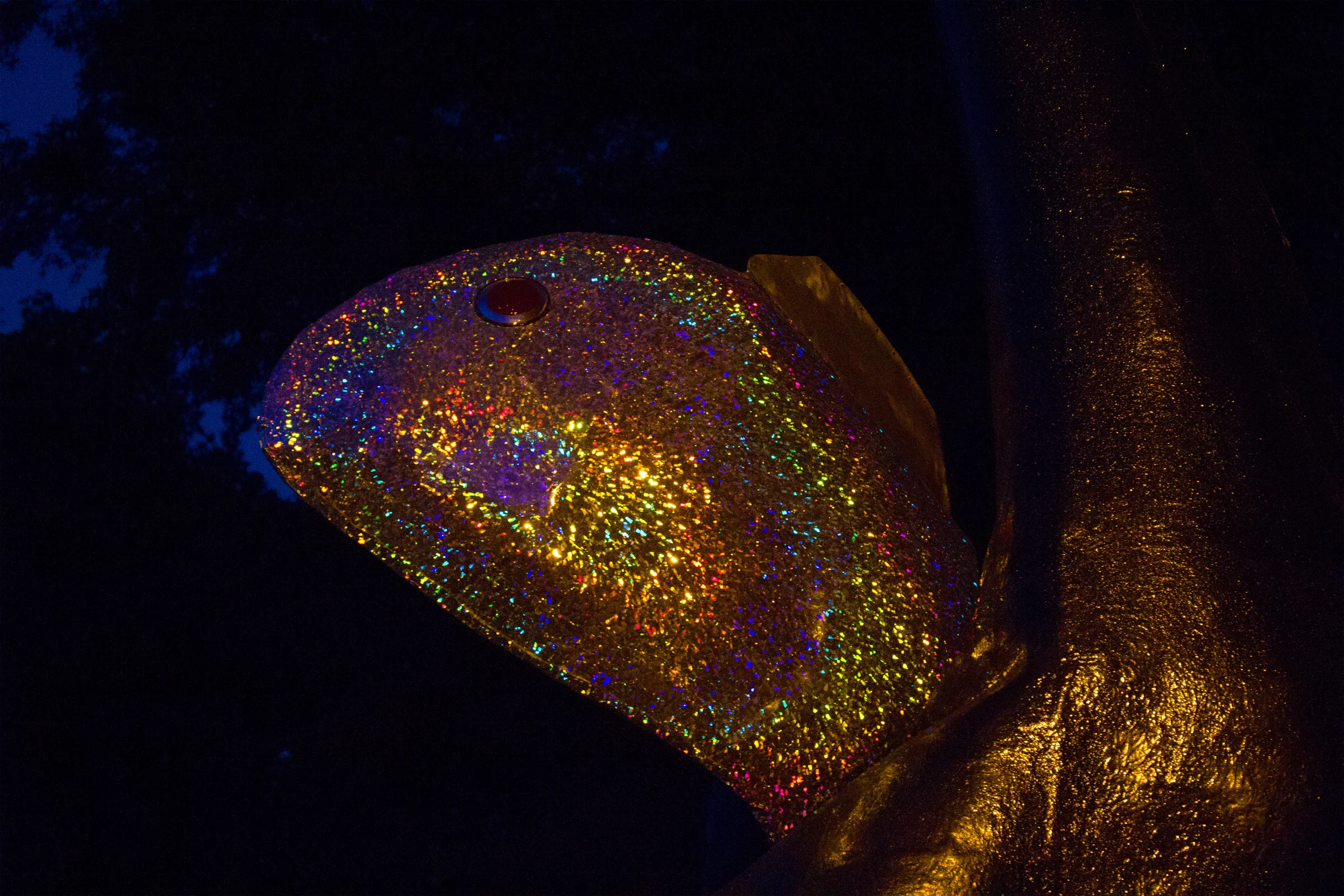 Sparkle Fish.jpg