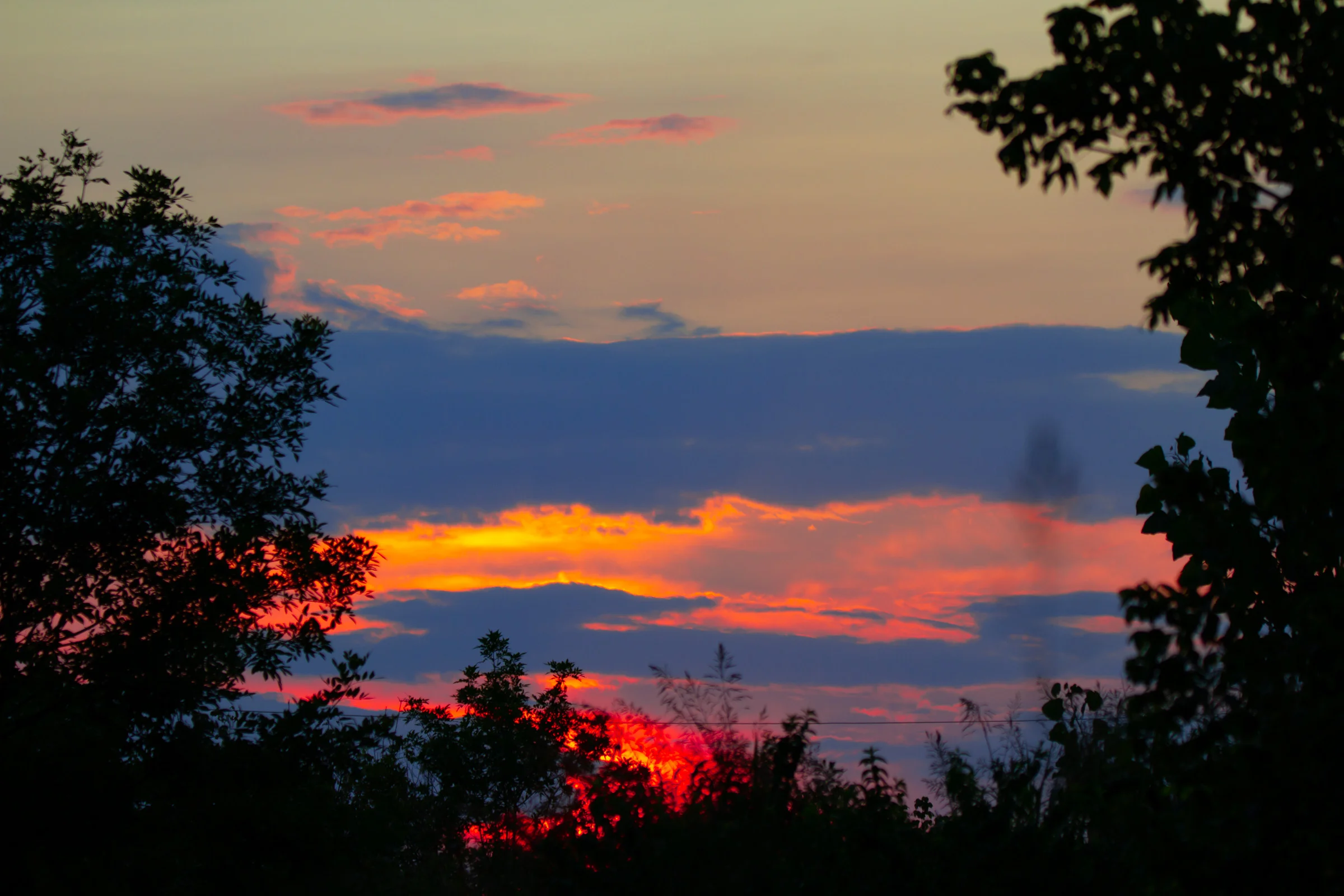 Resized (4 of 4).jpg