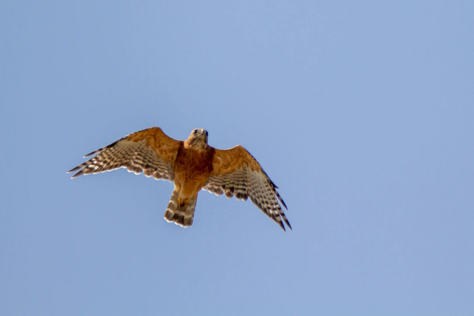 2019Sep14_1054.jpg