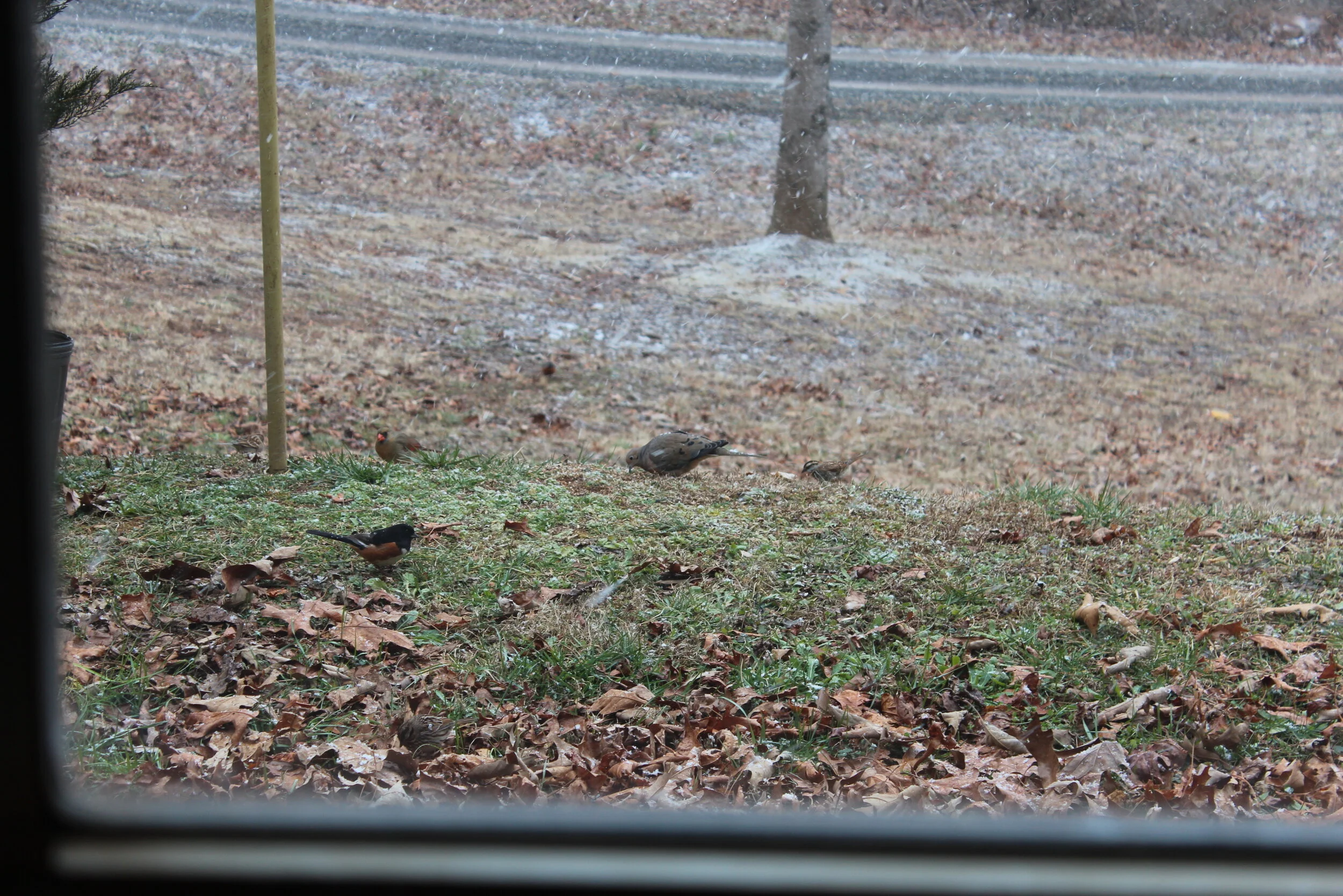  1/80 sec - F5.6 - 55mm - ISO100 