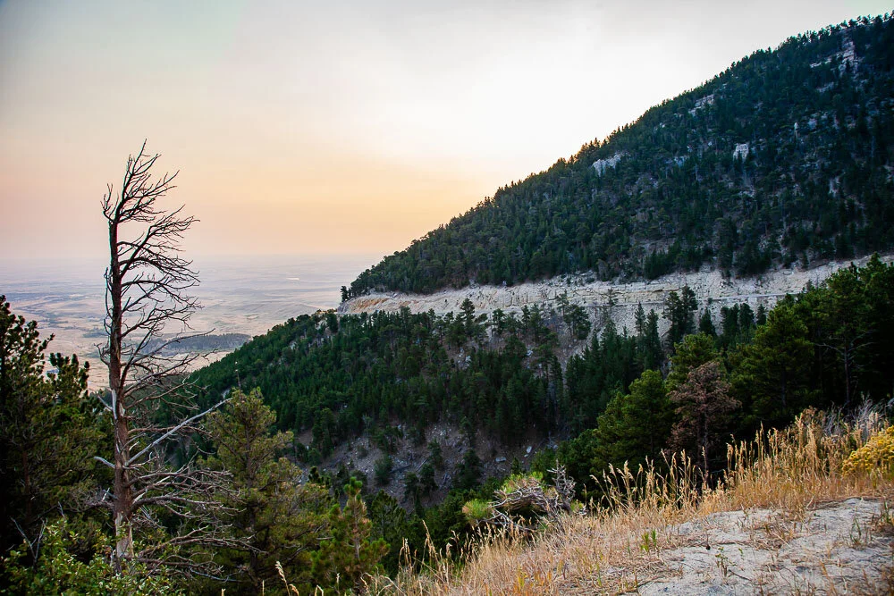 Canon 5D Mark II w/24-105mm - 1/125 Sec - F8 - ISO 400