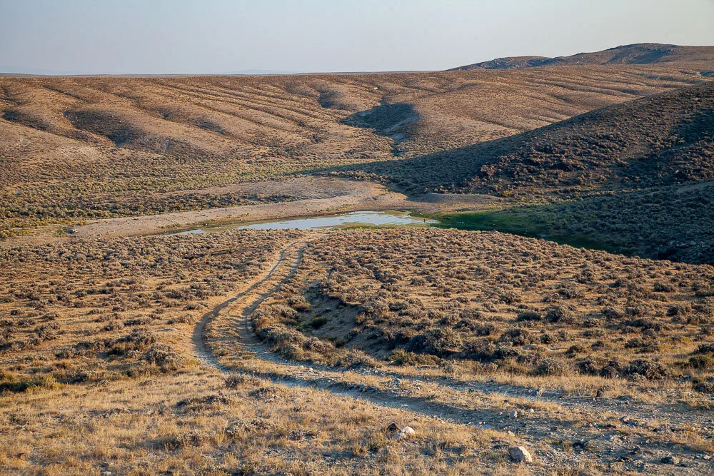 Canon 5D Mark II w/24-105mm - 1/200 - F8 - ISO 400