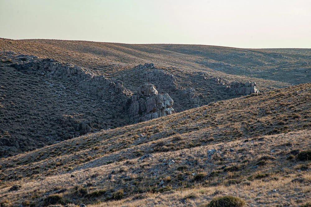 Canon 5D Mark II w/24-105mm - 1/400 Sec - F8 - ISO 400