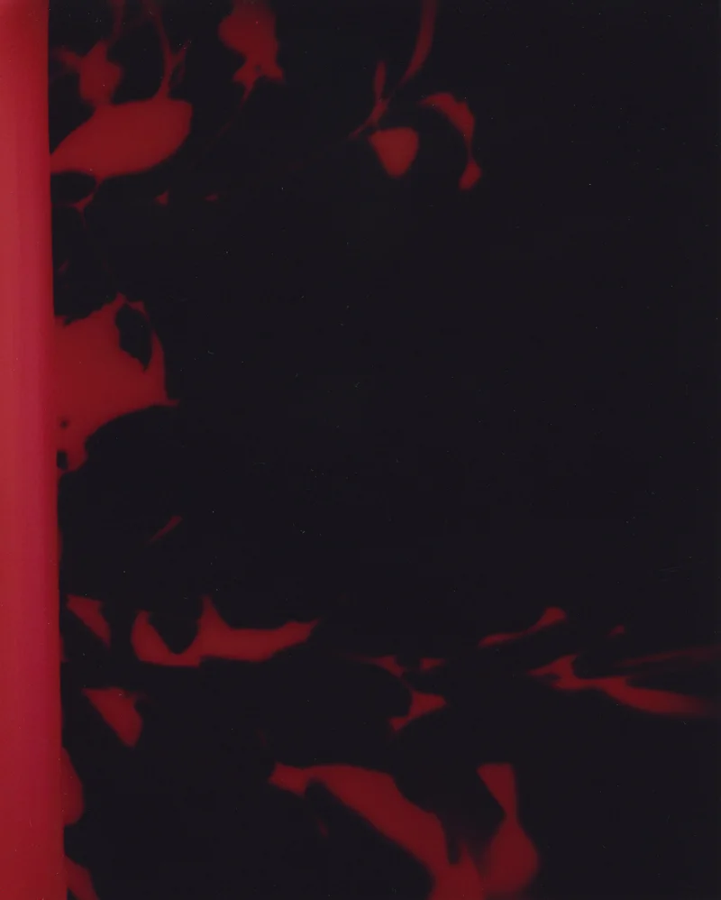 field_guide040.jpg