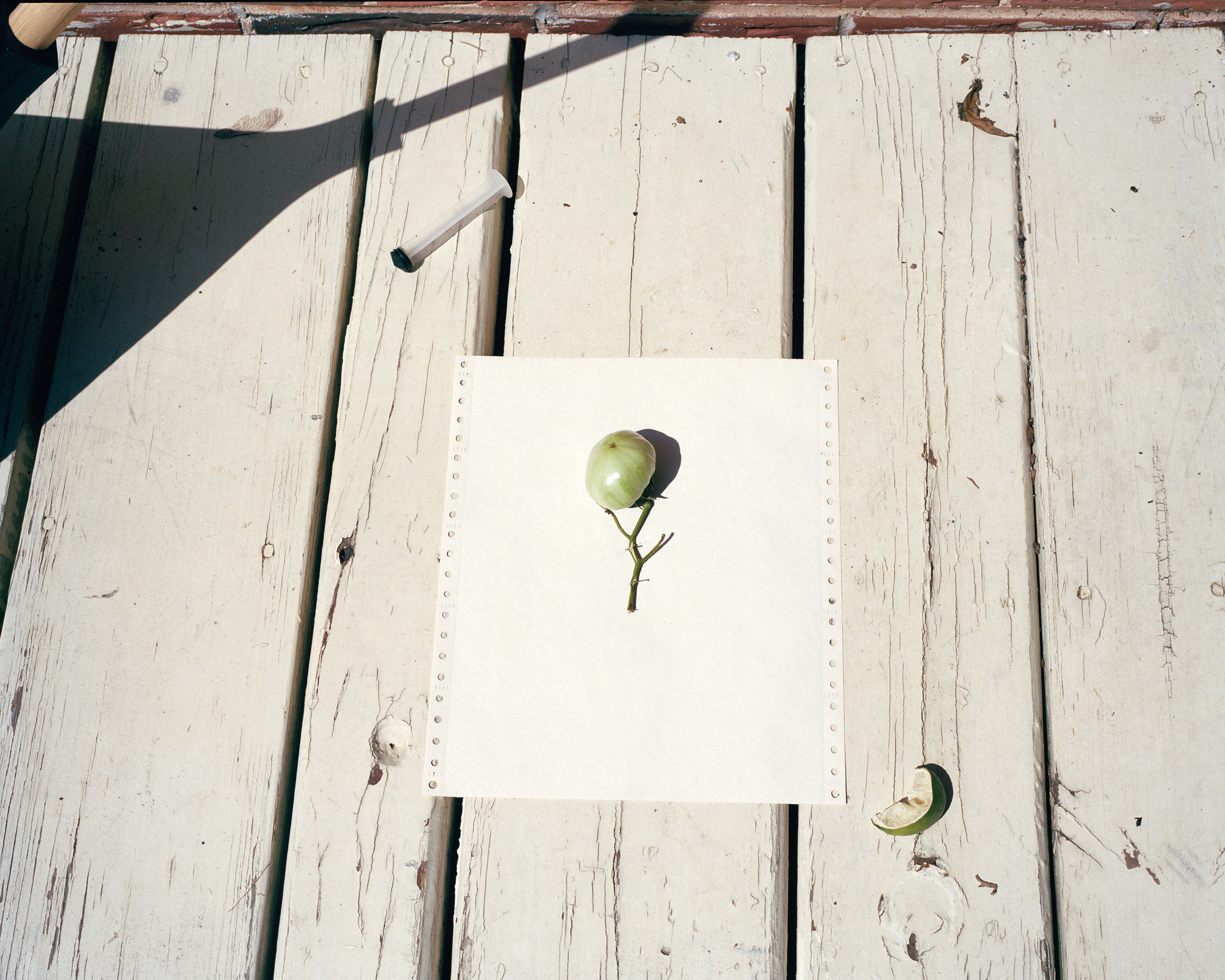 05_PaperTomato.jpg