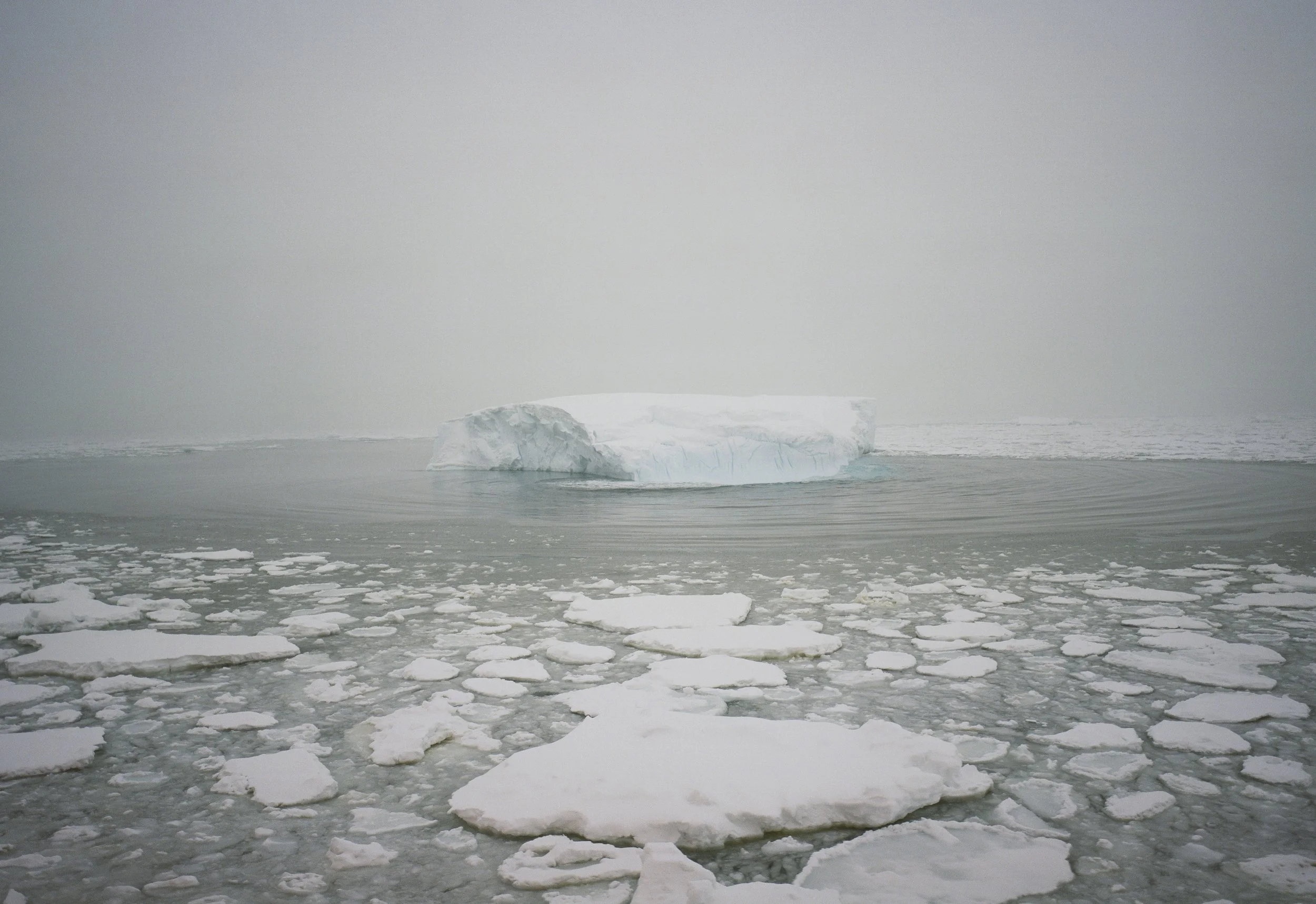  From Oct 23rd to December 7th, 2024 I lived on the  RVIB Nathaniel B. Palmer  as it sailed from Punta Arenas, Chile to Lyttleton, New Zealand for  scientific  fieldwork. I ran a version of  VIS-A-THON , a program I co-run at the  RISD Nature Lab  on