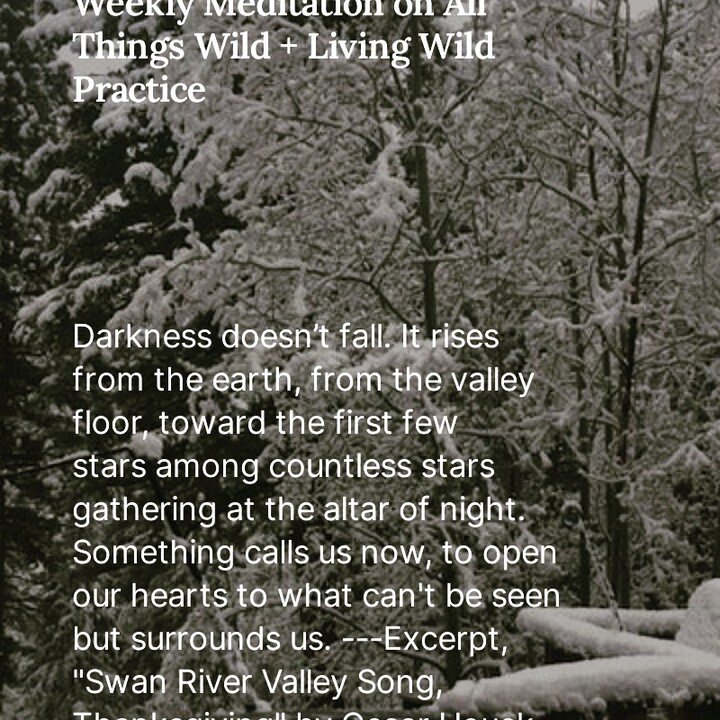 What Calls Us. Check out my new substack post on A Woman's Place is in the Wild. Become a paid subscriber to keep reading and get bi-weekly Living Wild Creativity prompts. #substack #writer #naturewriting #livingwild #awomansplaceisinthewild #rockymo