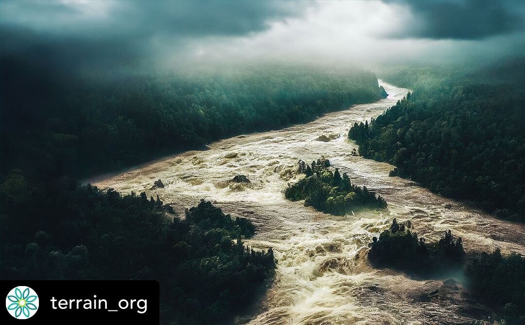 One of my mountain stories, One of Our Own, about the 1000-year flood on @terrain_org. #Fiction #Story #MountainLiving #Colorado #Flood # thousandYearFlood #ClimateCatastrophe #ClimateFiction #LivingWild #Wilderness #Nature #Dear #FrontRange #RockyMo