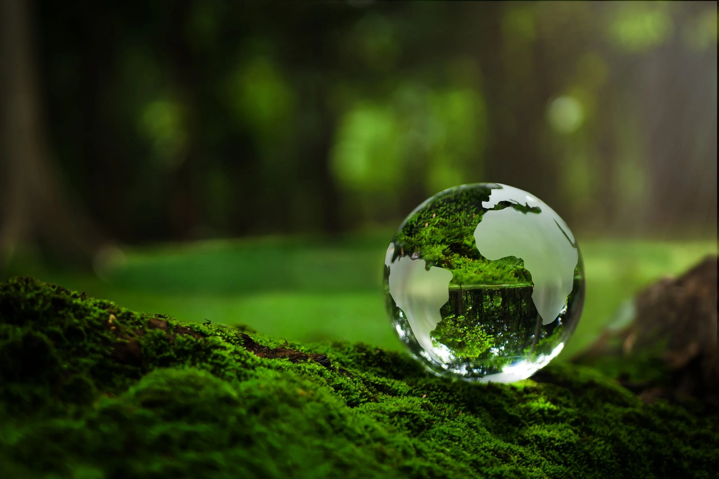 Working with ESG Consultants to Meet ESG Goals: The Complete Process