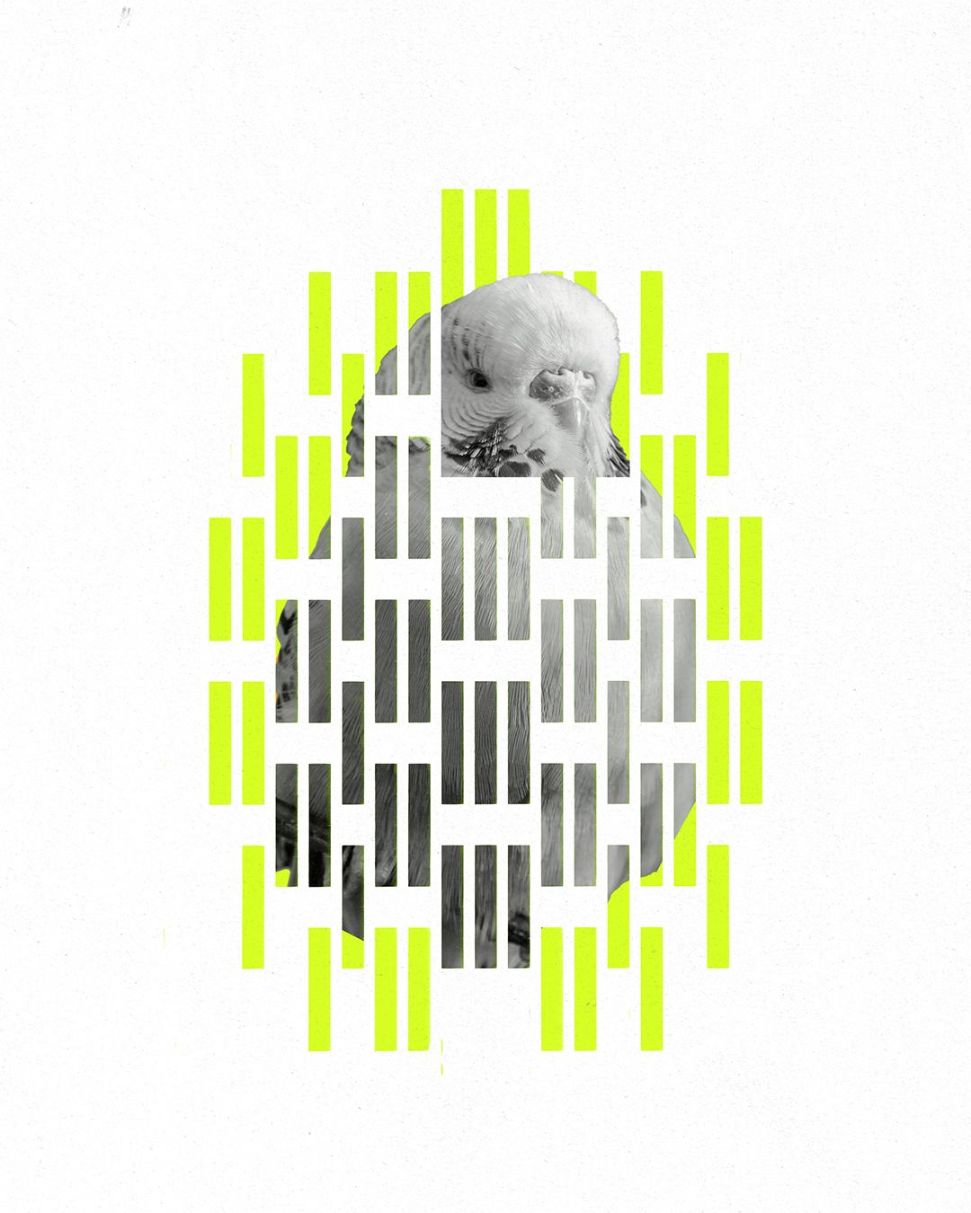 25_Geometric.png
