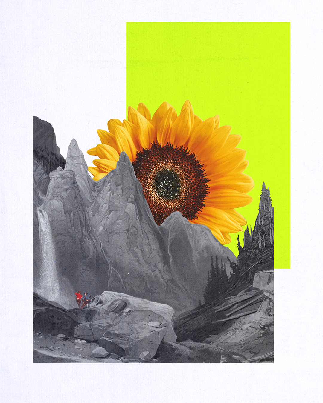 27_Sunflower.png