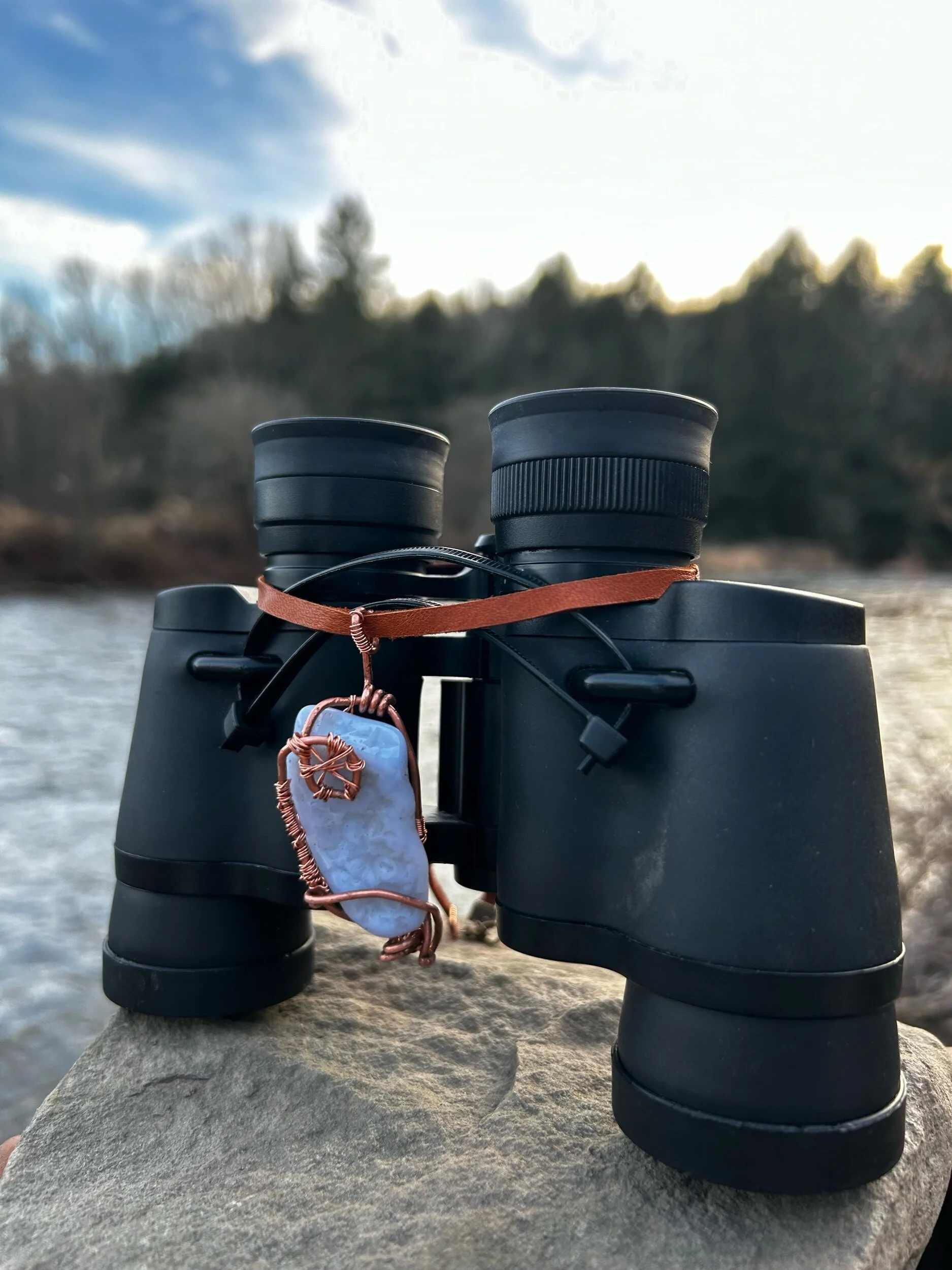 116D6699-64C9-4118-A38A-8CEAADF32DD0