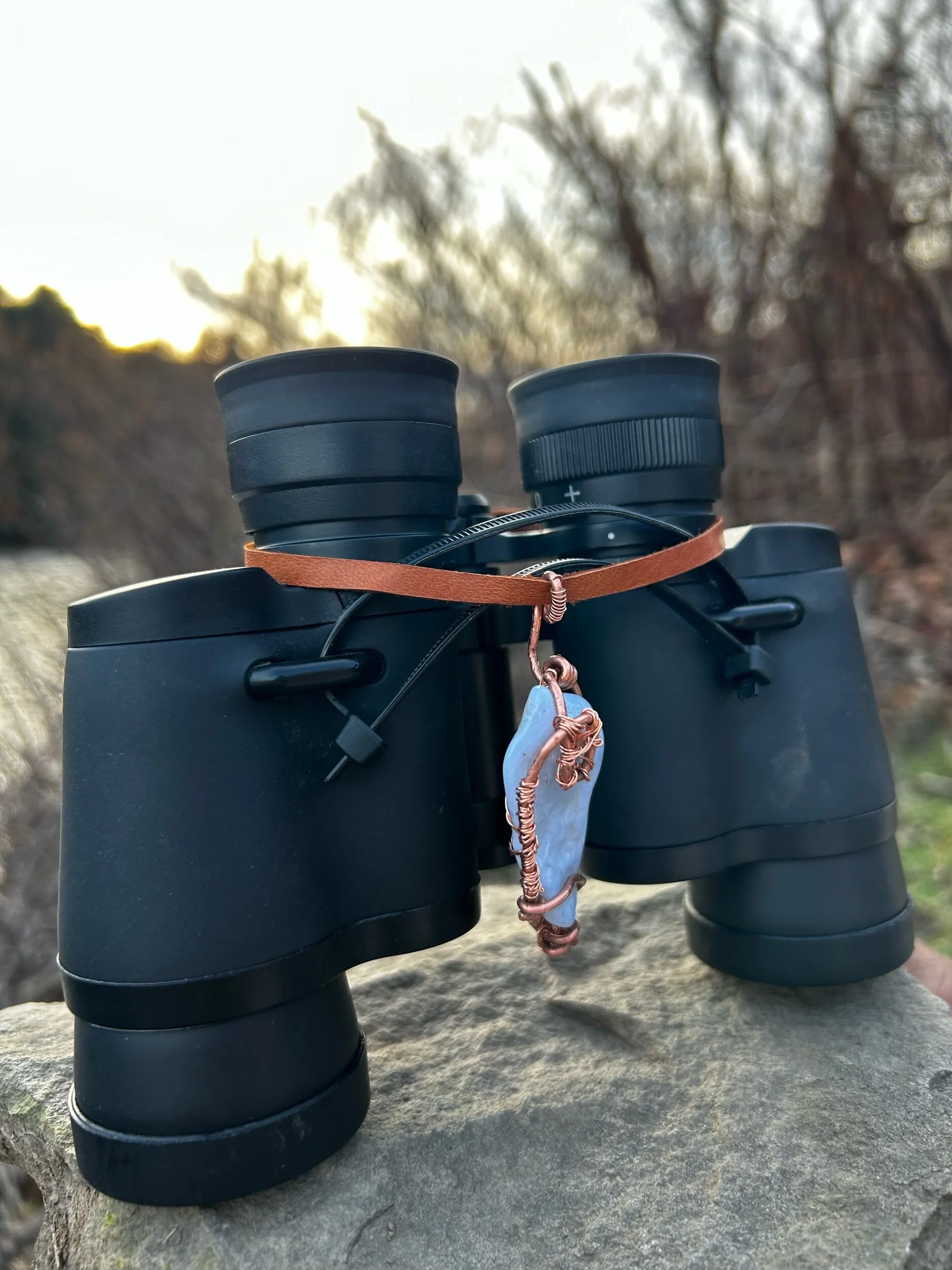 EEC19FD0-7C51-4197-8757-9A5CFC92A91F