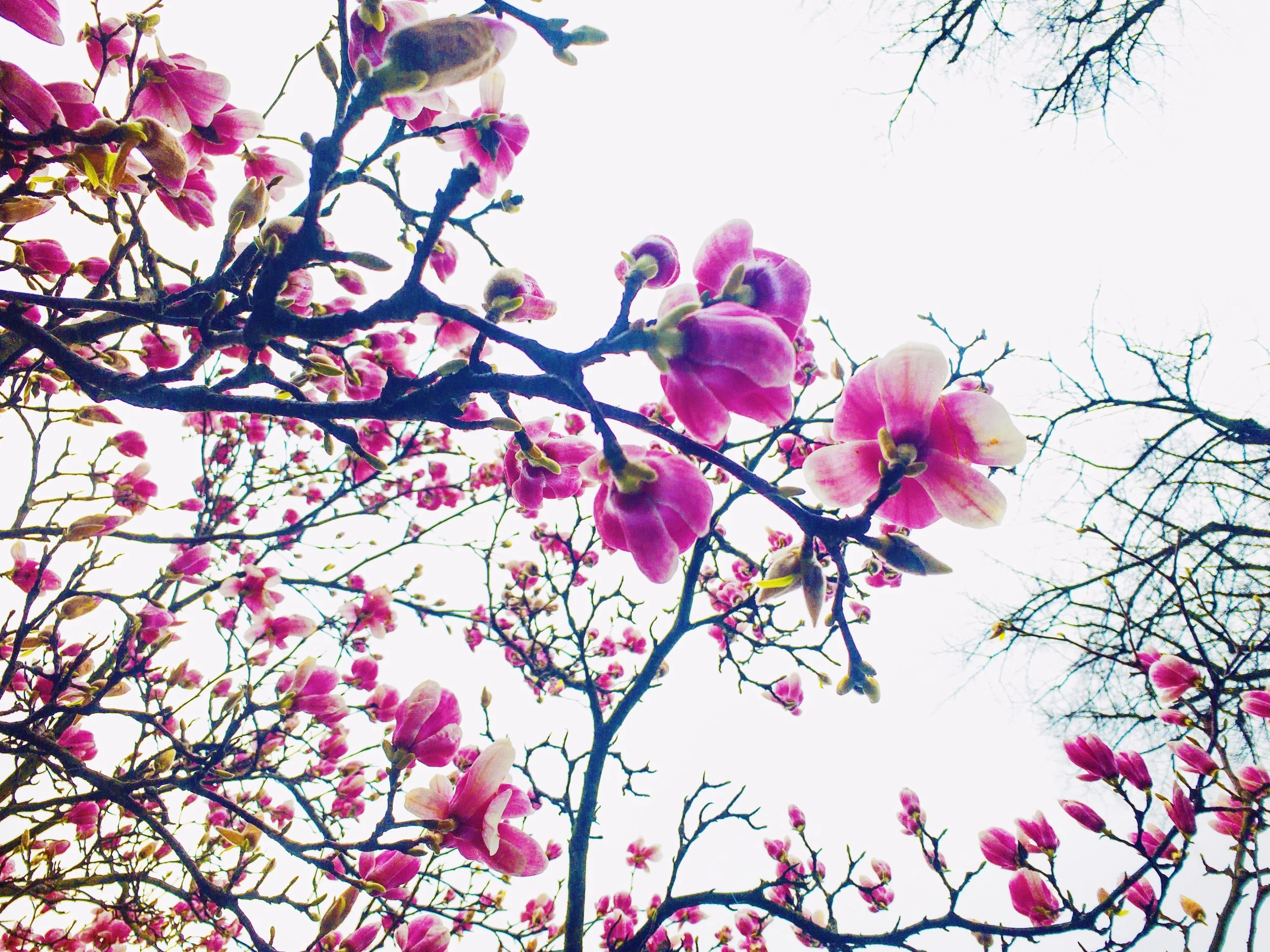 Processed with VSCO with au1 preset