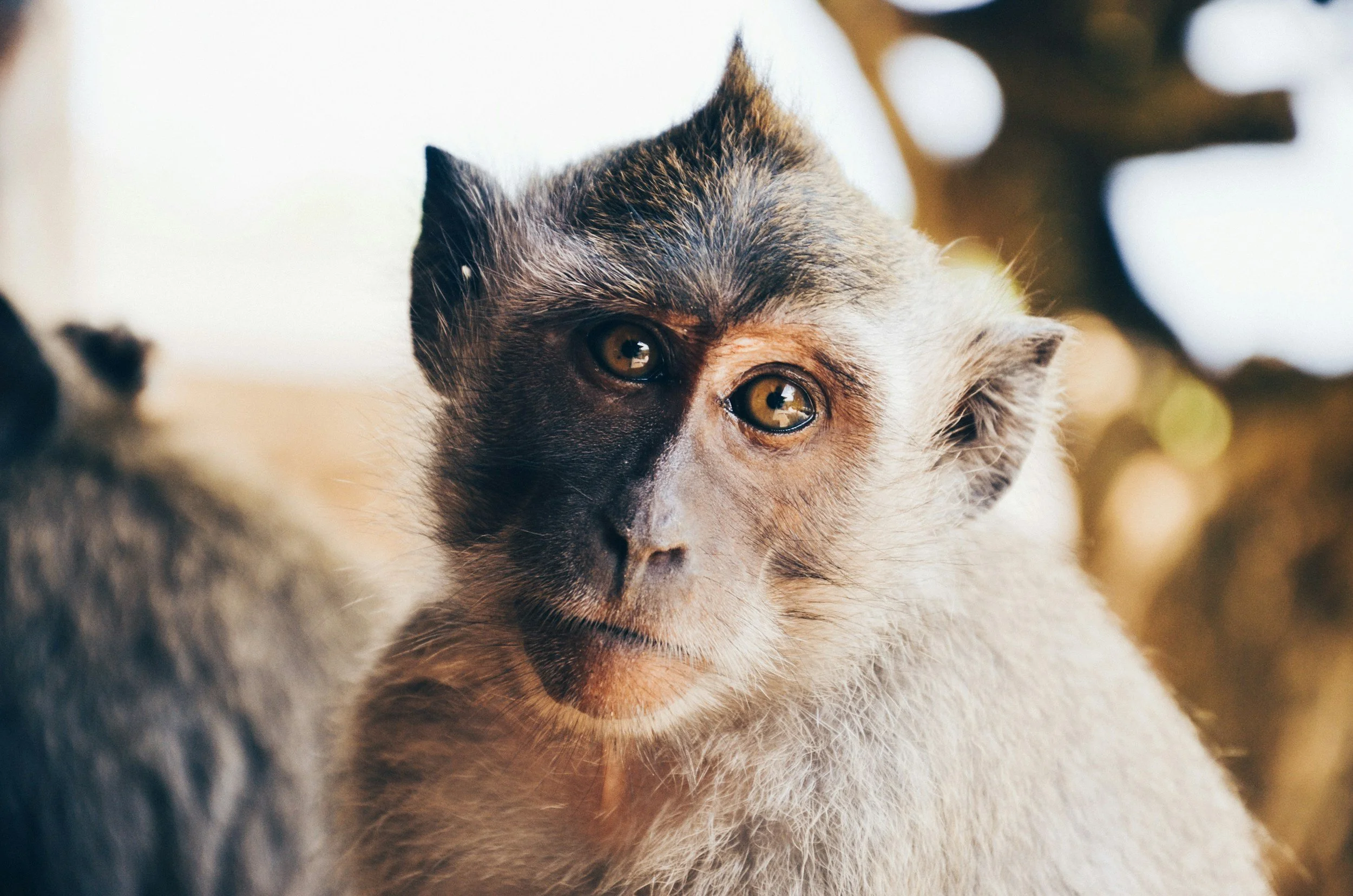 Why Photography 'Rules' Are Stifling Your Creativity