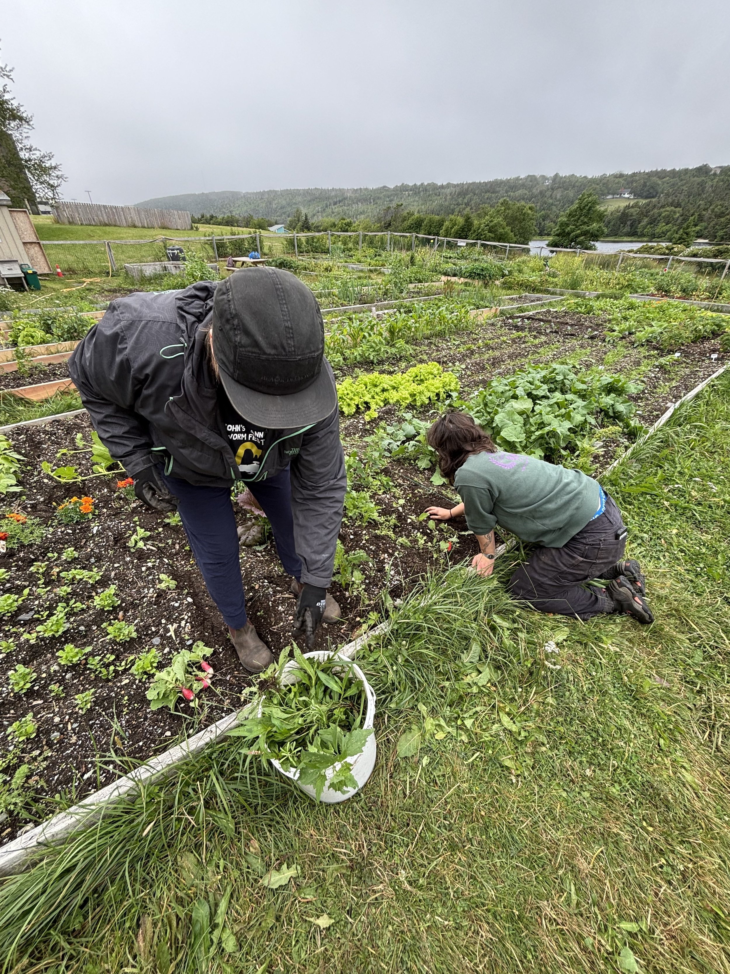 Garden 12.jpg