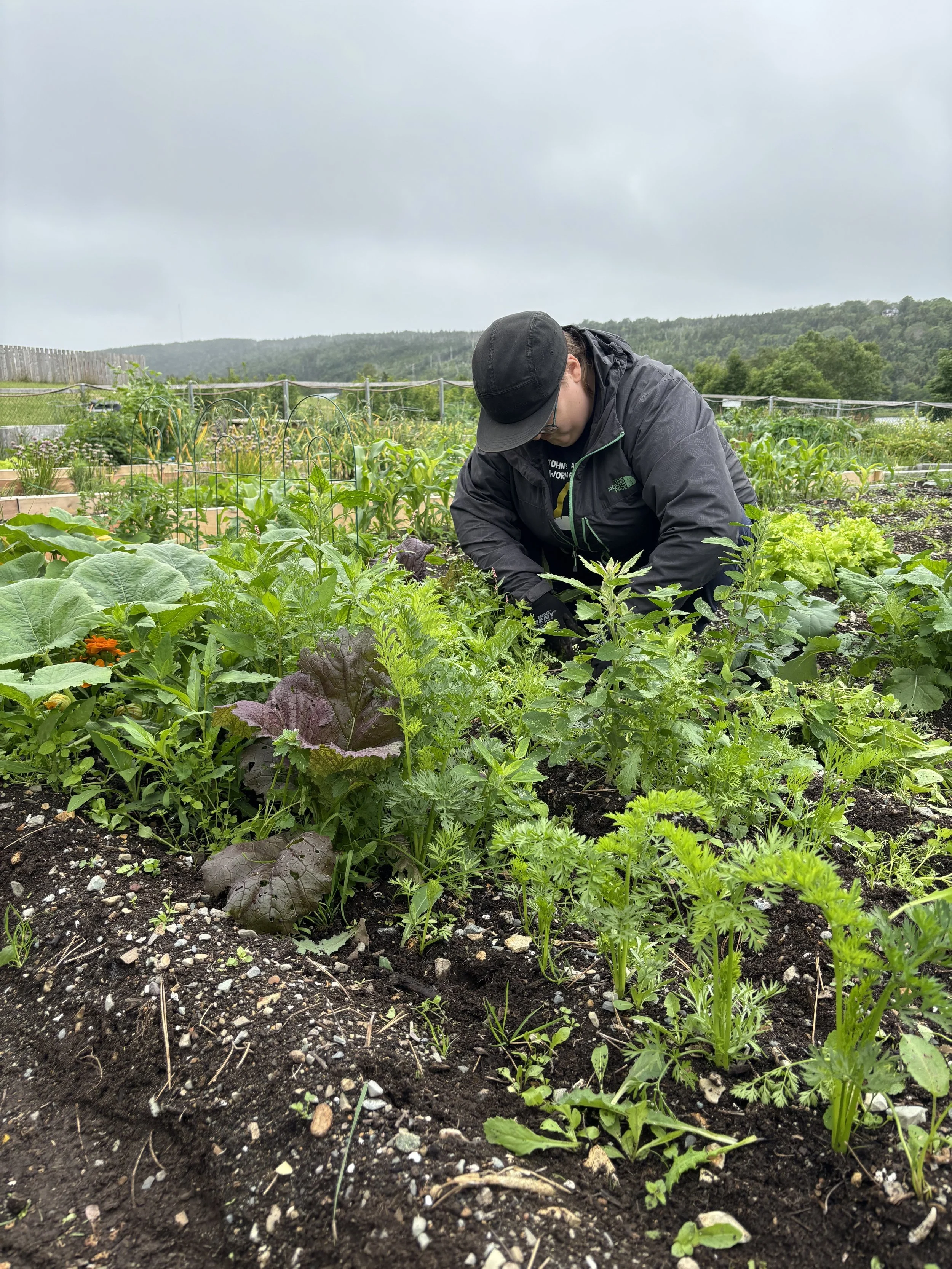 Garden 11.jpg