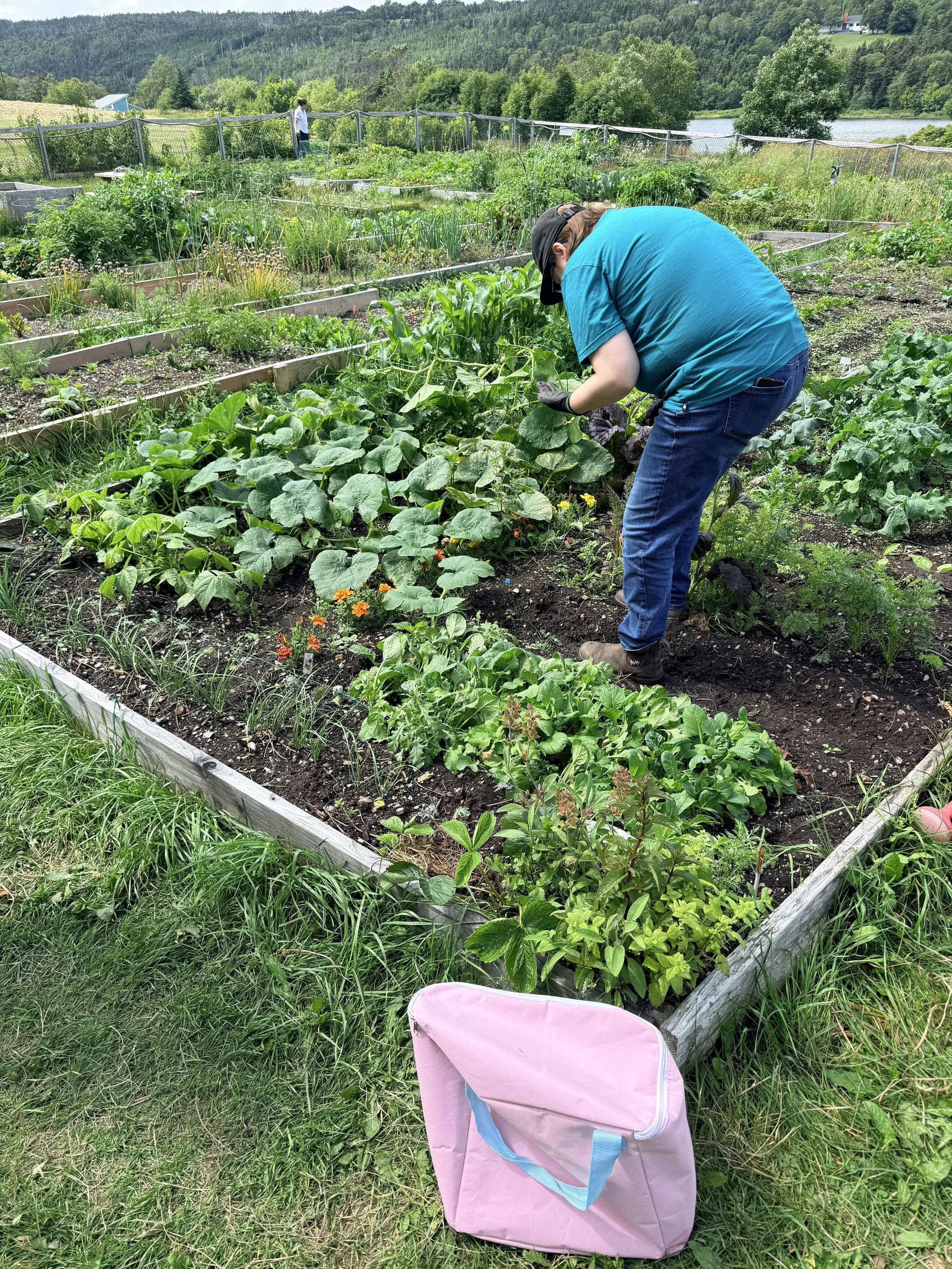 Garden 15.jpg
