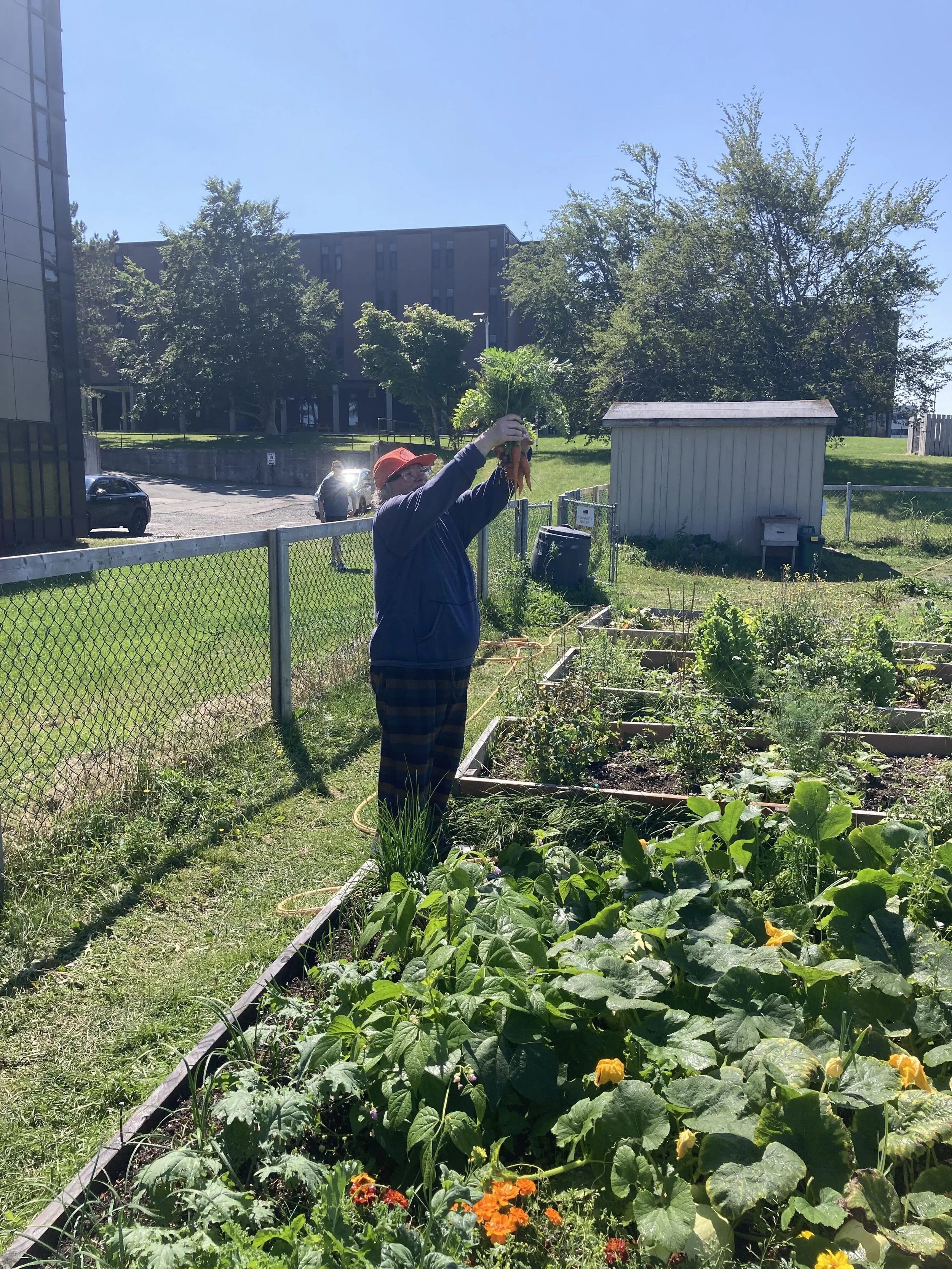 Garden 24.jpg