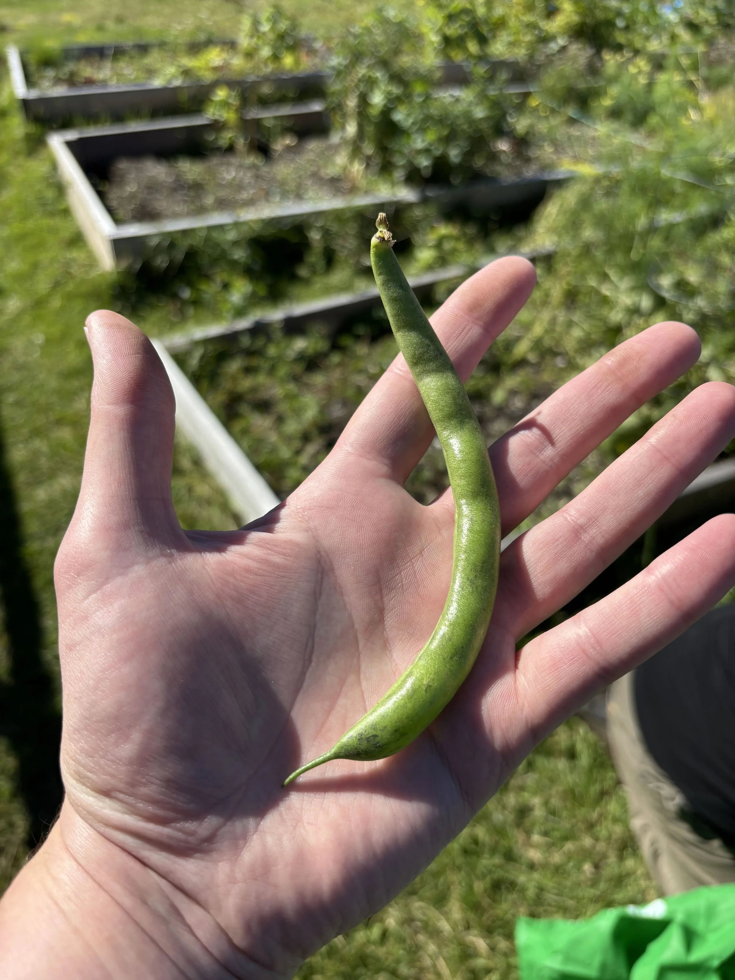 garden 30.jpg