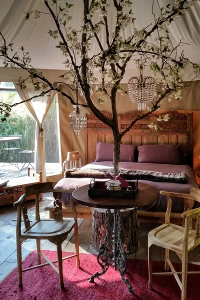 GlampingRoomWTree.jpg