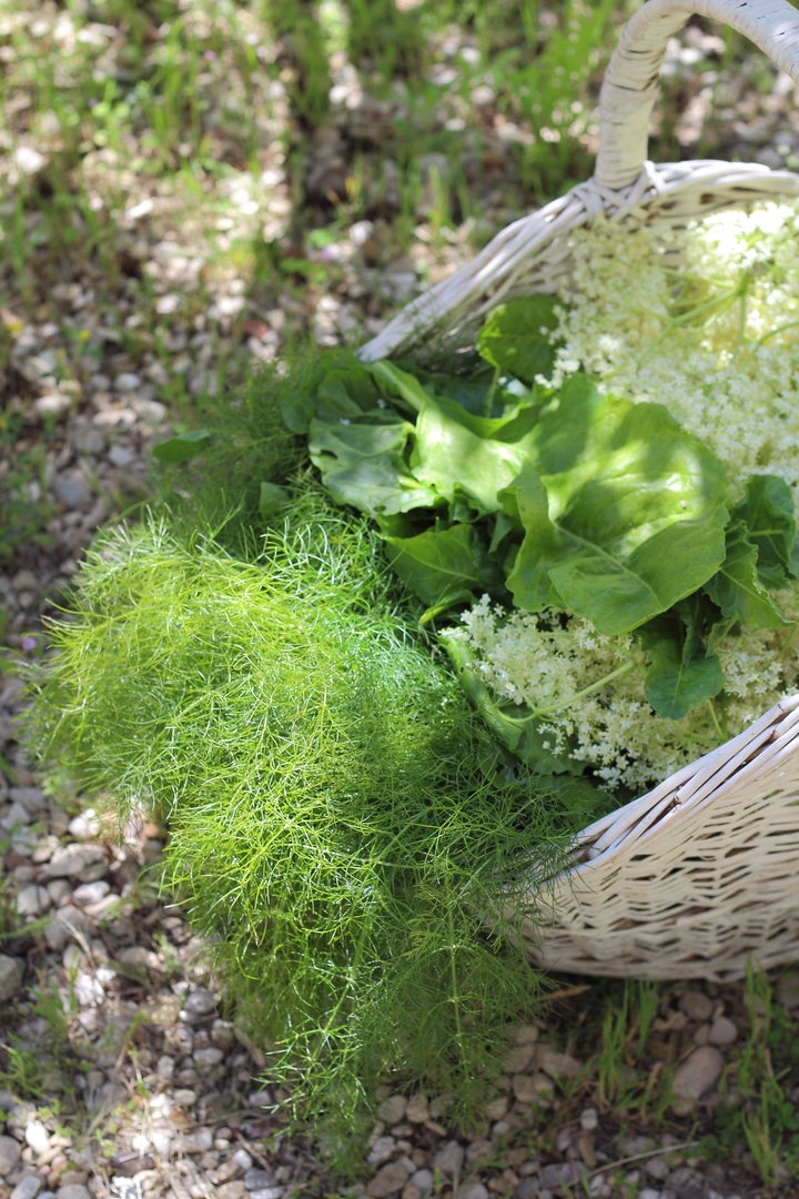 IMG_5970 (Copier).JPG