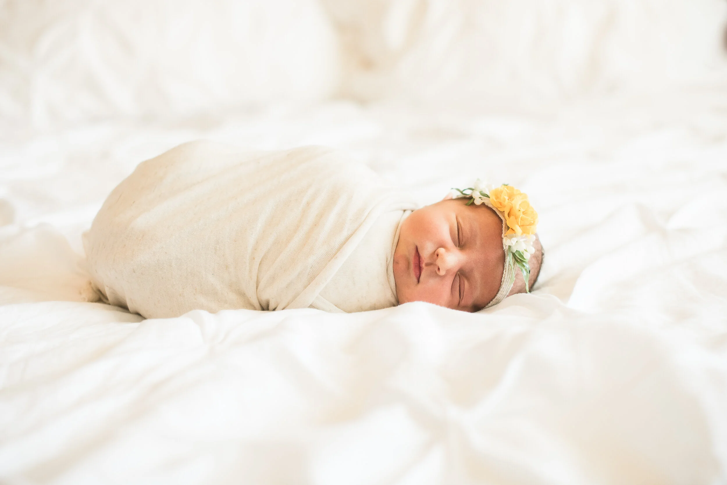 Want to Grow With Me &amp; Learn New Skills as an Intern? | College Station Newborn Photographer
