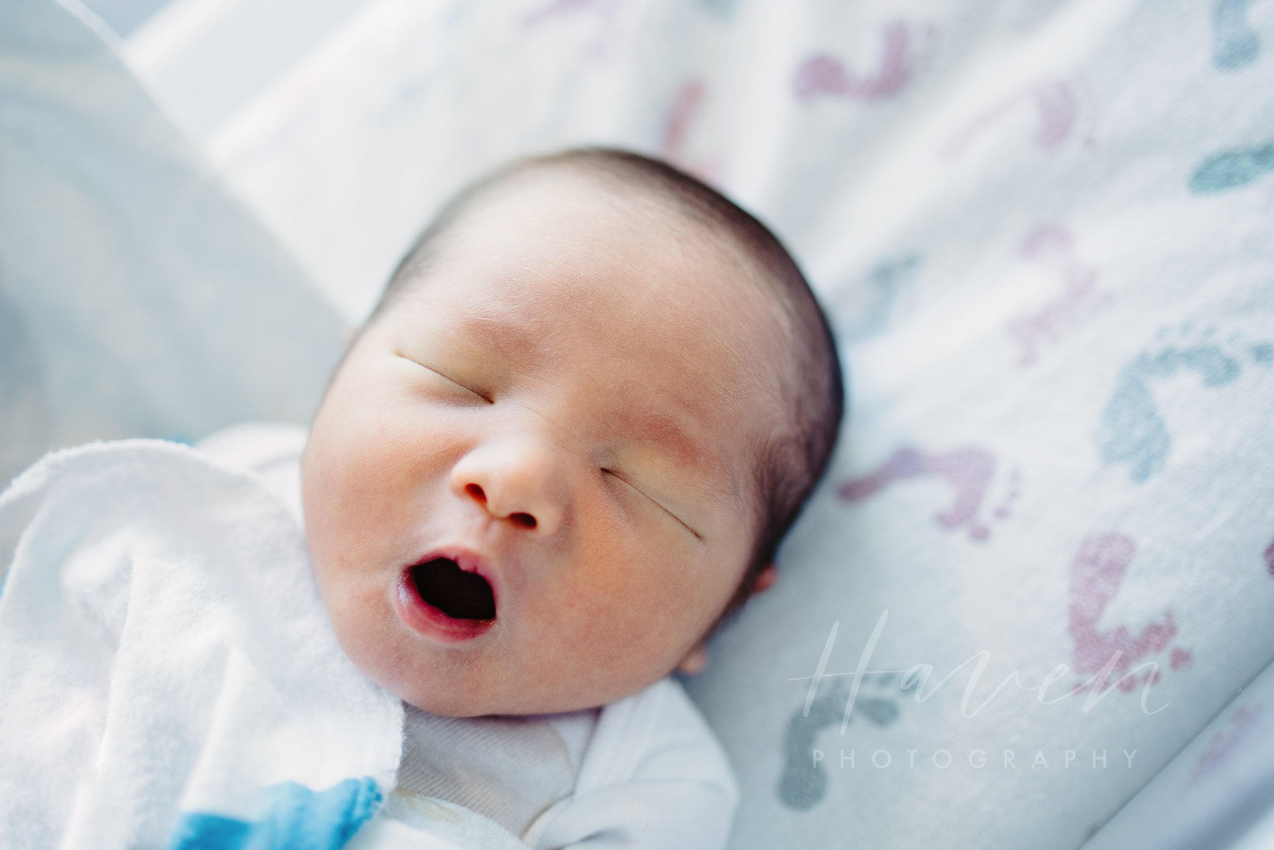 birth photographer newborn photos top best college station tx