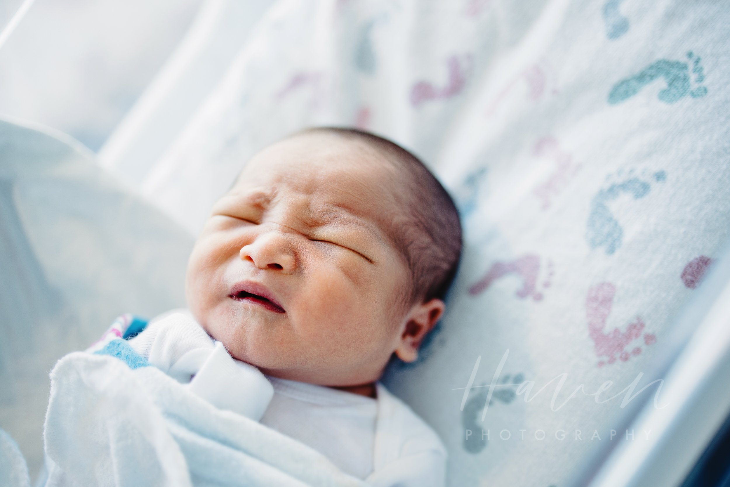 college station newborn photographer baby photos 