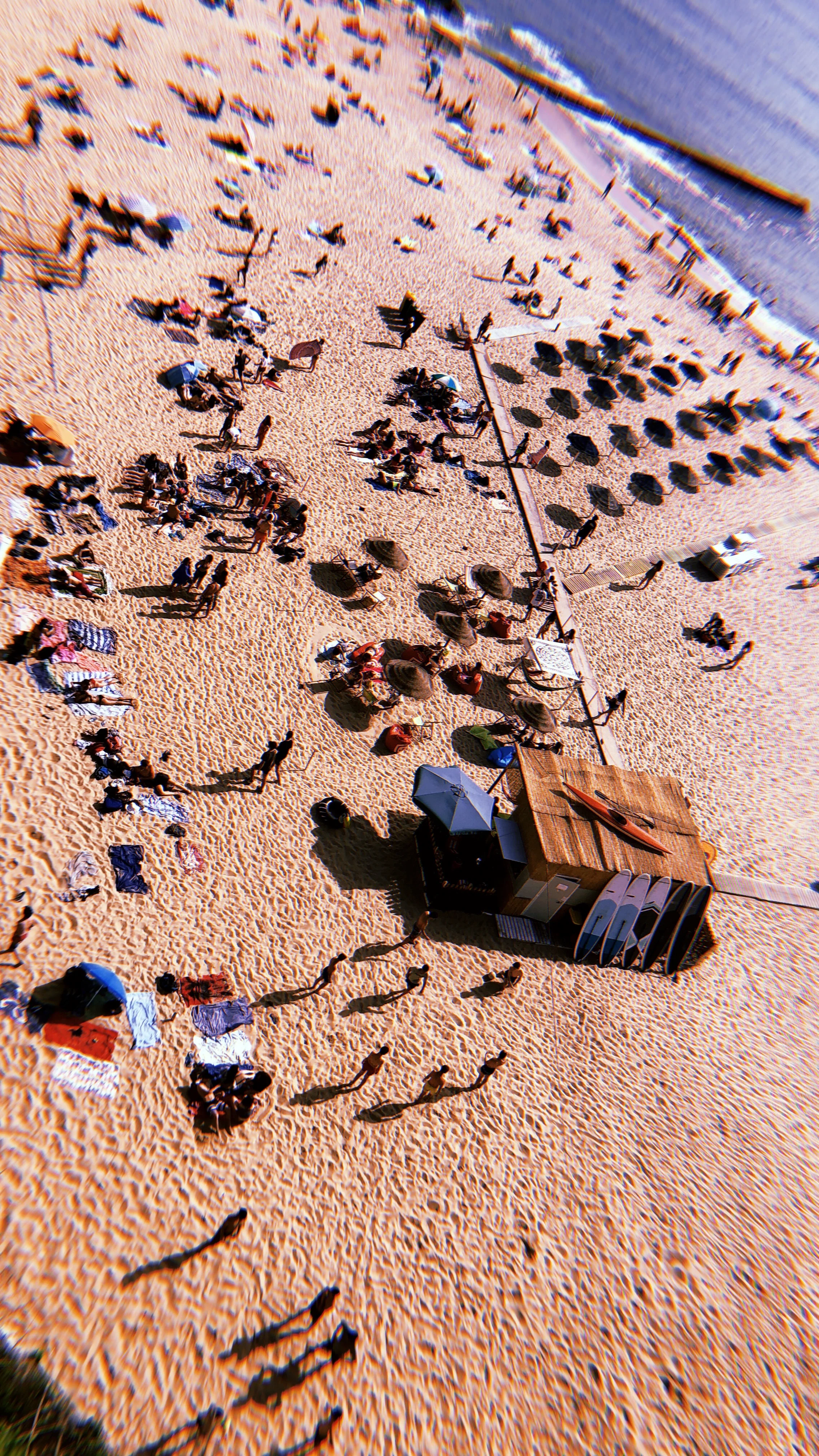 image00040.jpeg