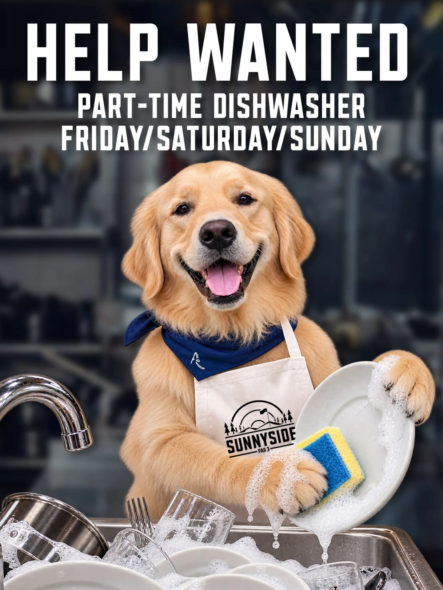 Kentucky gave it his best shot, but apparently &ldquo;licking the plates clean&rdquo; doesn&rsquo;t meet health department standards. 🐾😂

So, we&rsquo;re hiring!

Sunnyside Par 3 is looking for a part-time dishwasher to join our crew, working Frida