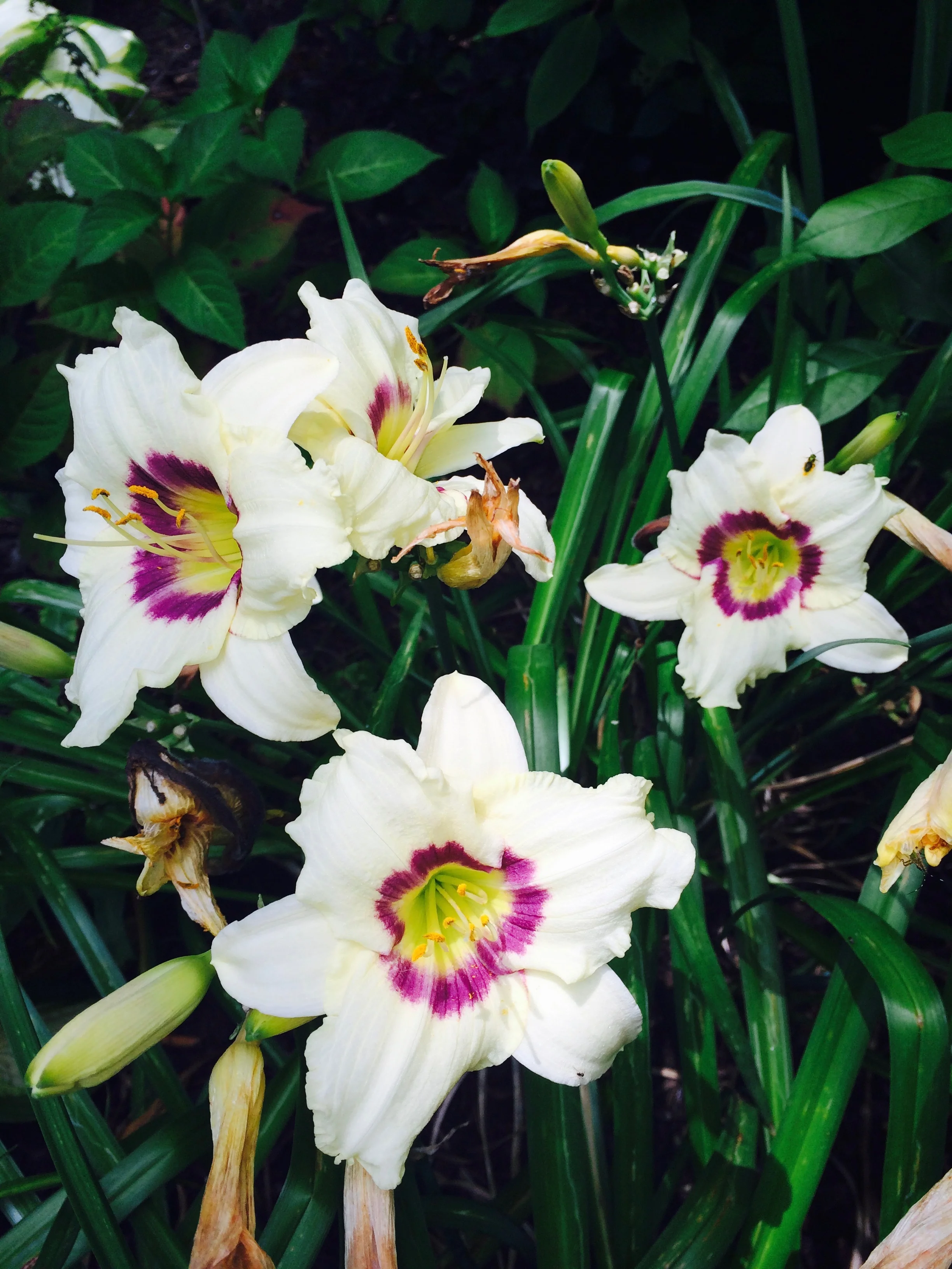 Never let hours rot on the vine