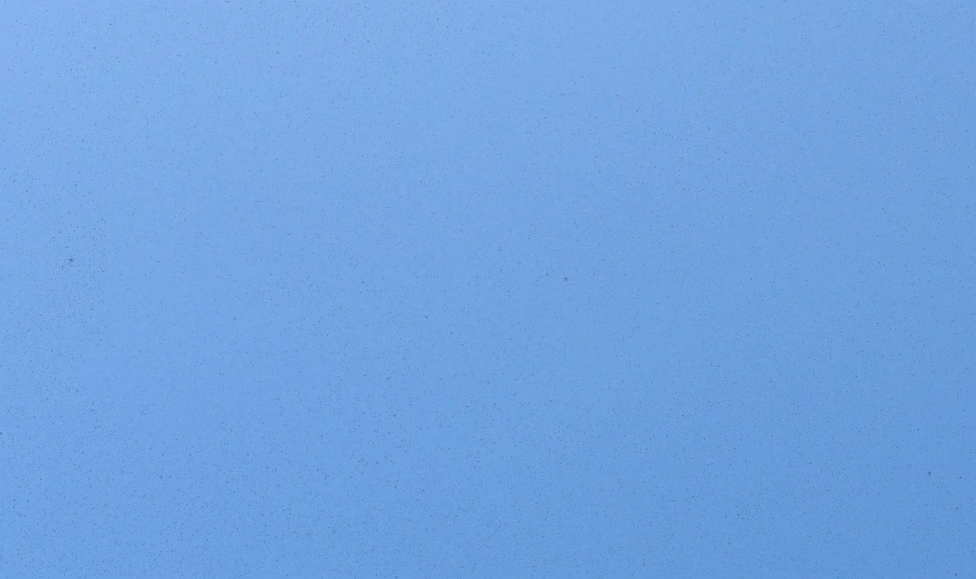 details through pointing_g2291.jpg