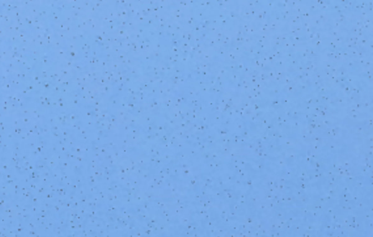  Close up view; dark spots are digitally drawn by covering lightest pixels of digital photographic image. 