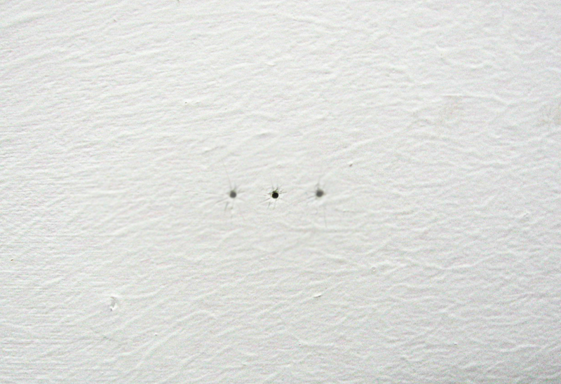 This image is digitally treated. The middle ‘hole’ is made digitally to show what viewers would see when focusing their eyes on both outer holes.