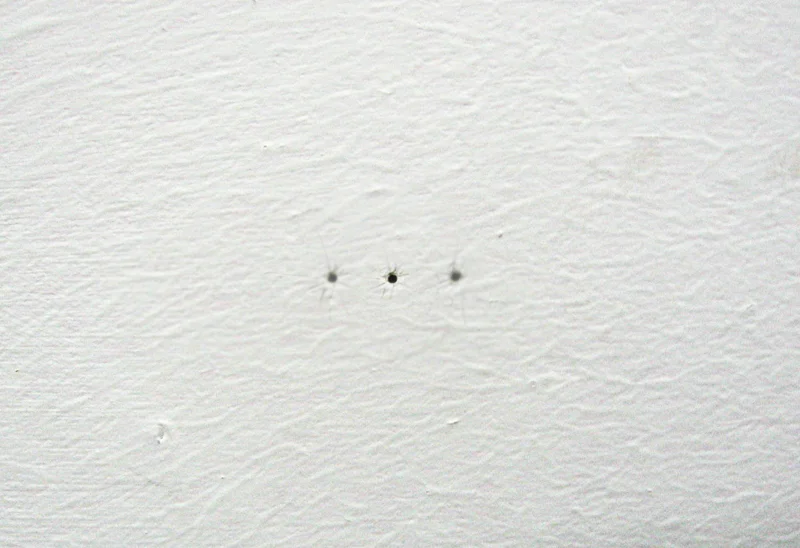  This image is digitally treated. The middle ‘hole’ is made digitally to show what viewers would see when focusing their eyes on both outer holes. 