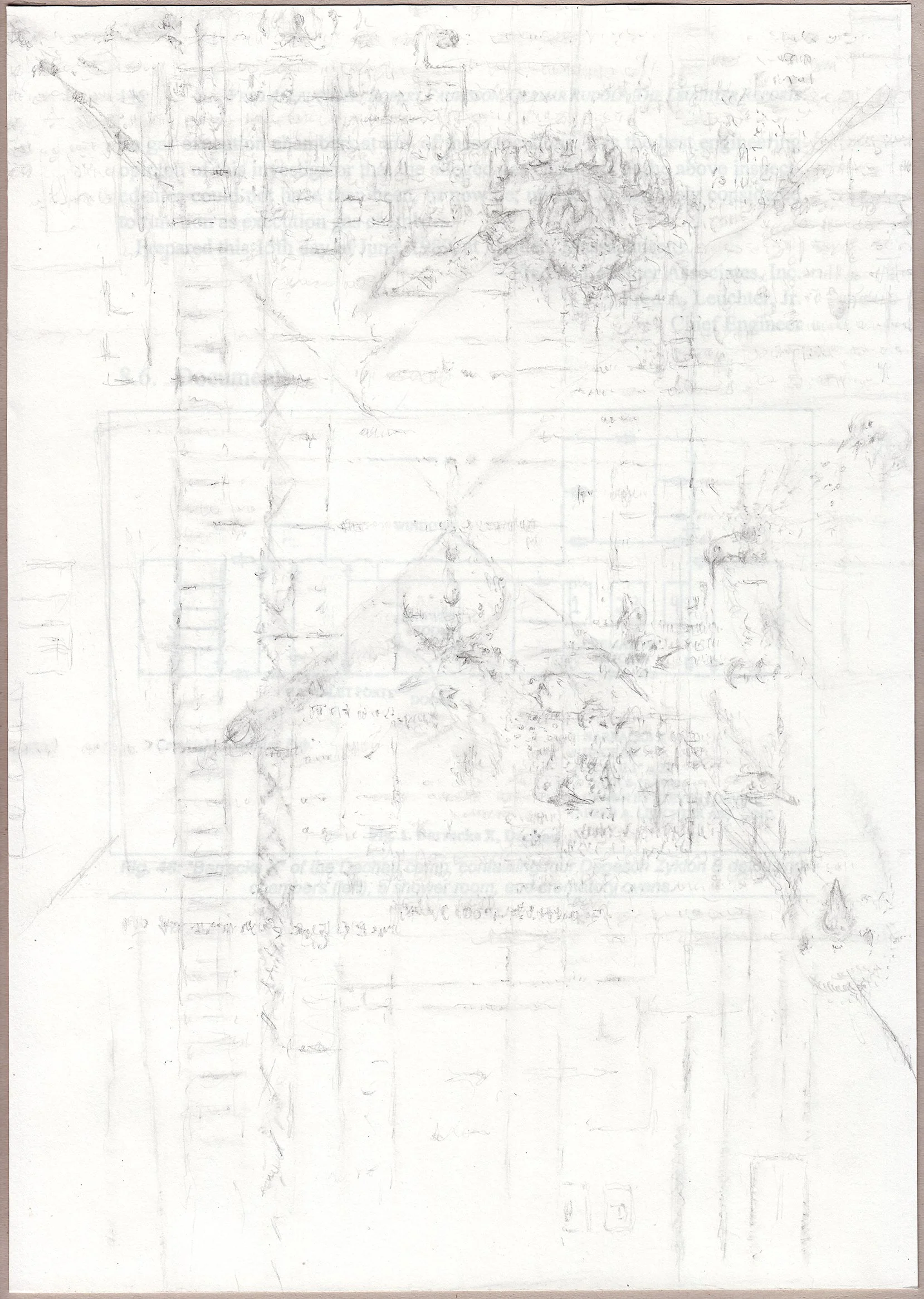 Leuchter_Traced Papers_8.jpg