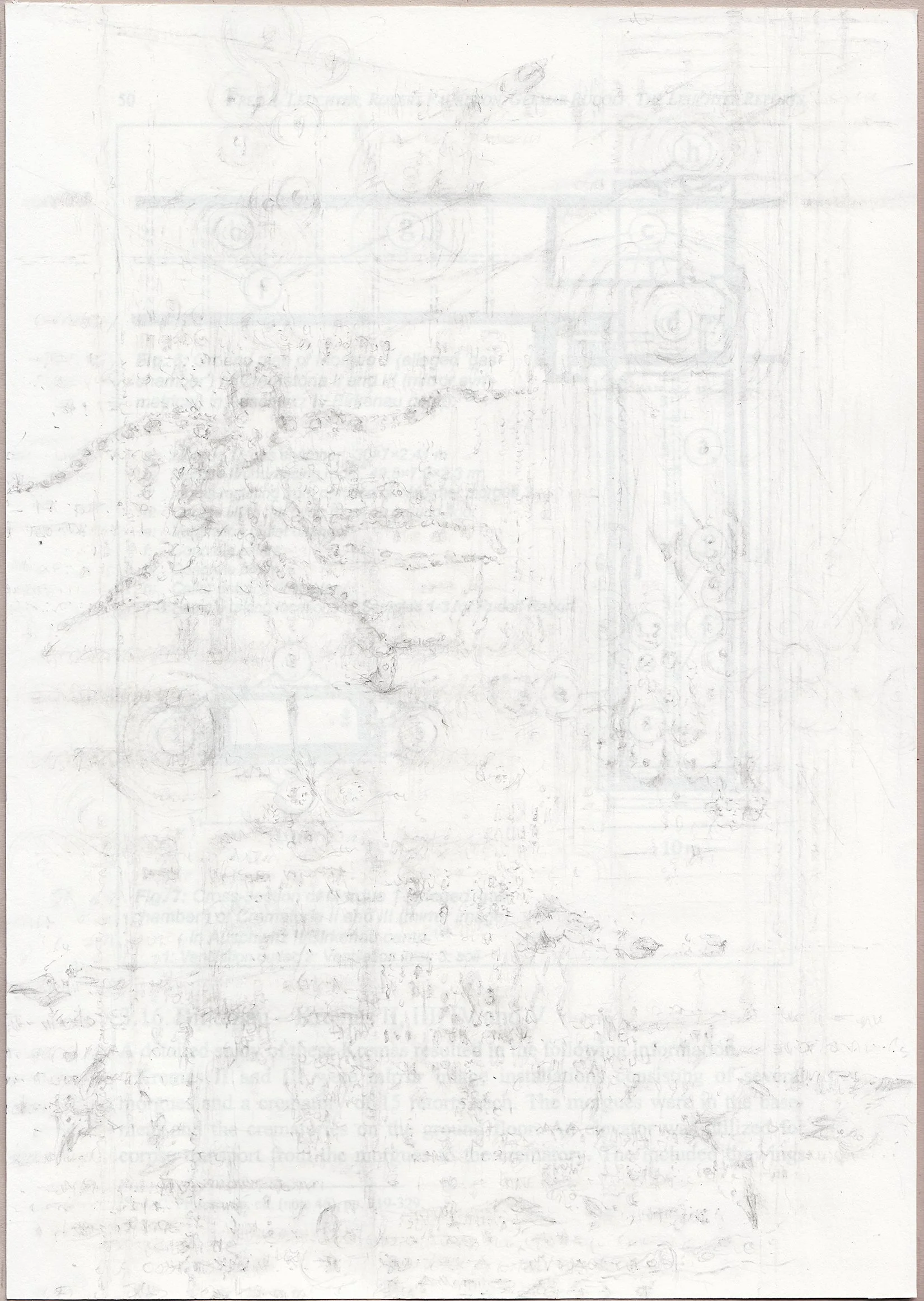 Leuchter_Traced Papers_13.jpg