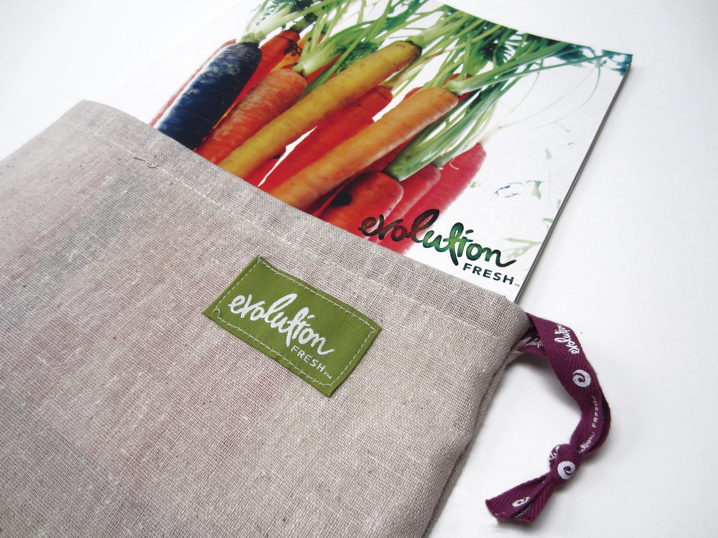 Evolution_Fresh_Brand_Book.JPG